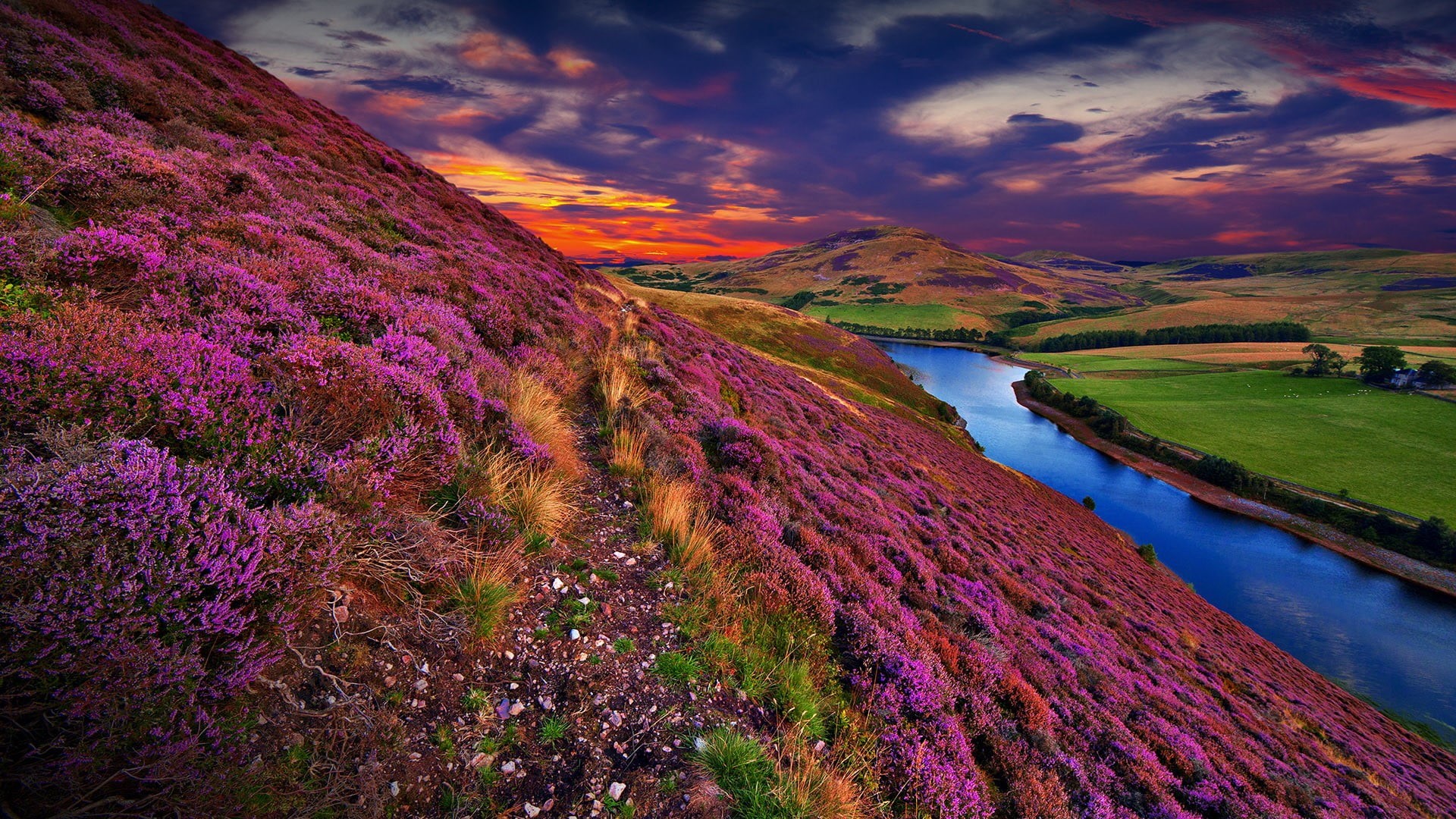 landscape, hills, UK, water, grass, clouds, sunset, trees, Pentland Hills, river, nature, Scotland, 1080P, flowers, HD Wallpaper
