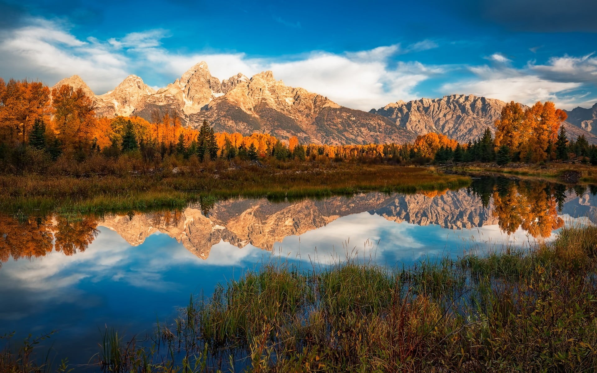 trees, outdoors, nature, colorful, idyllic, green, autumn, reflection, reflection lake, beauty in nature, leaf, morning, tree, fall, cloud - sky, 1080P, HD Wallpaper