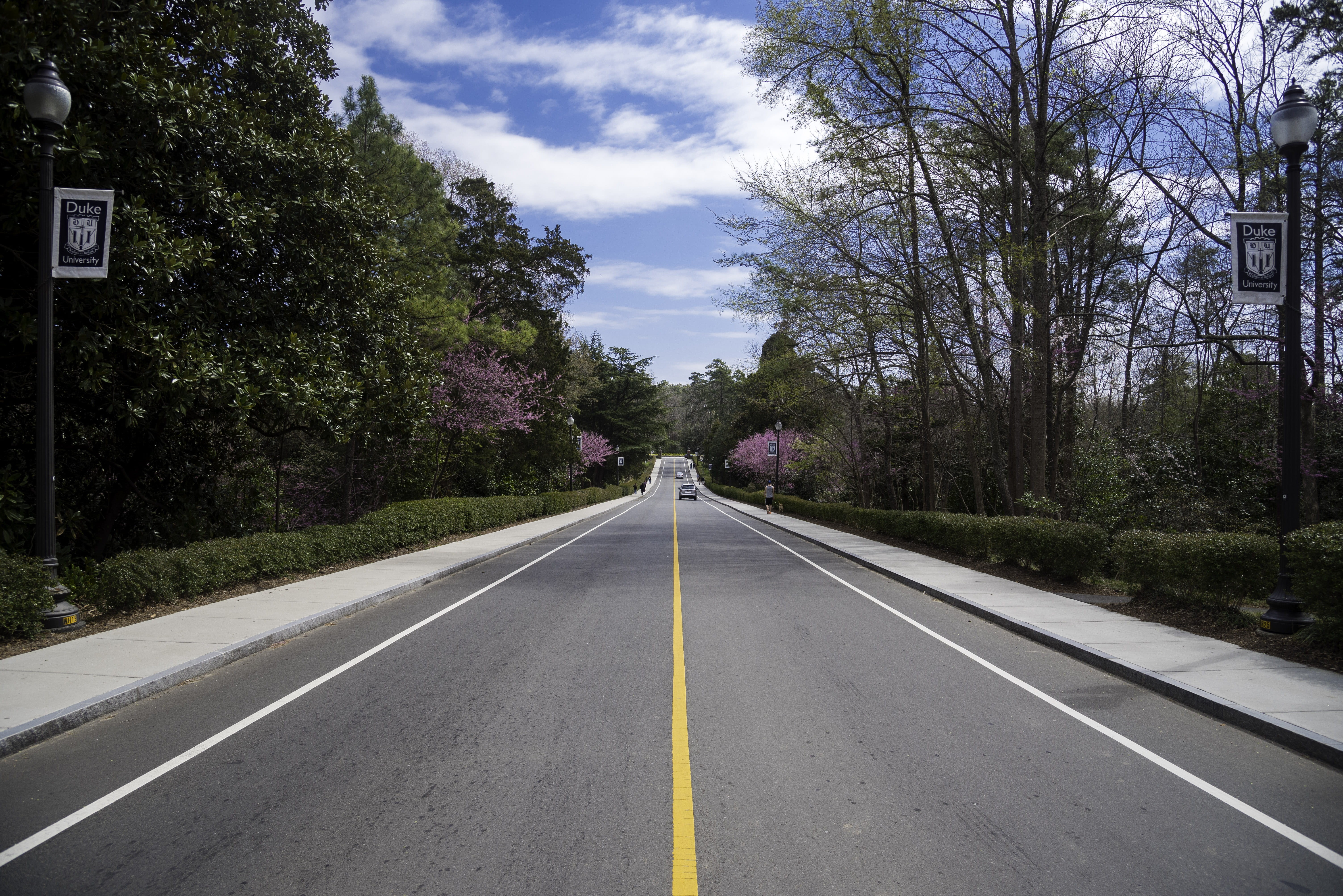 sign, photos, skies, Duke University, outdoors, carolina, speed, direction, duke, sky, highway, 5K, university, transportation, Gardens, vanishing point, HD Wallpaper