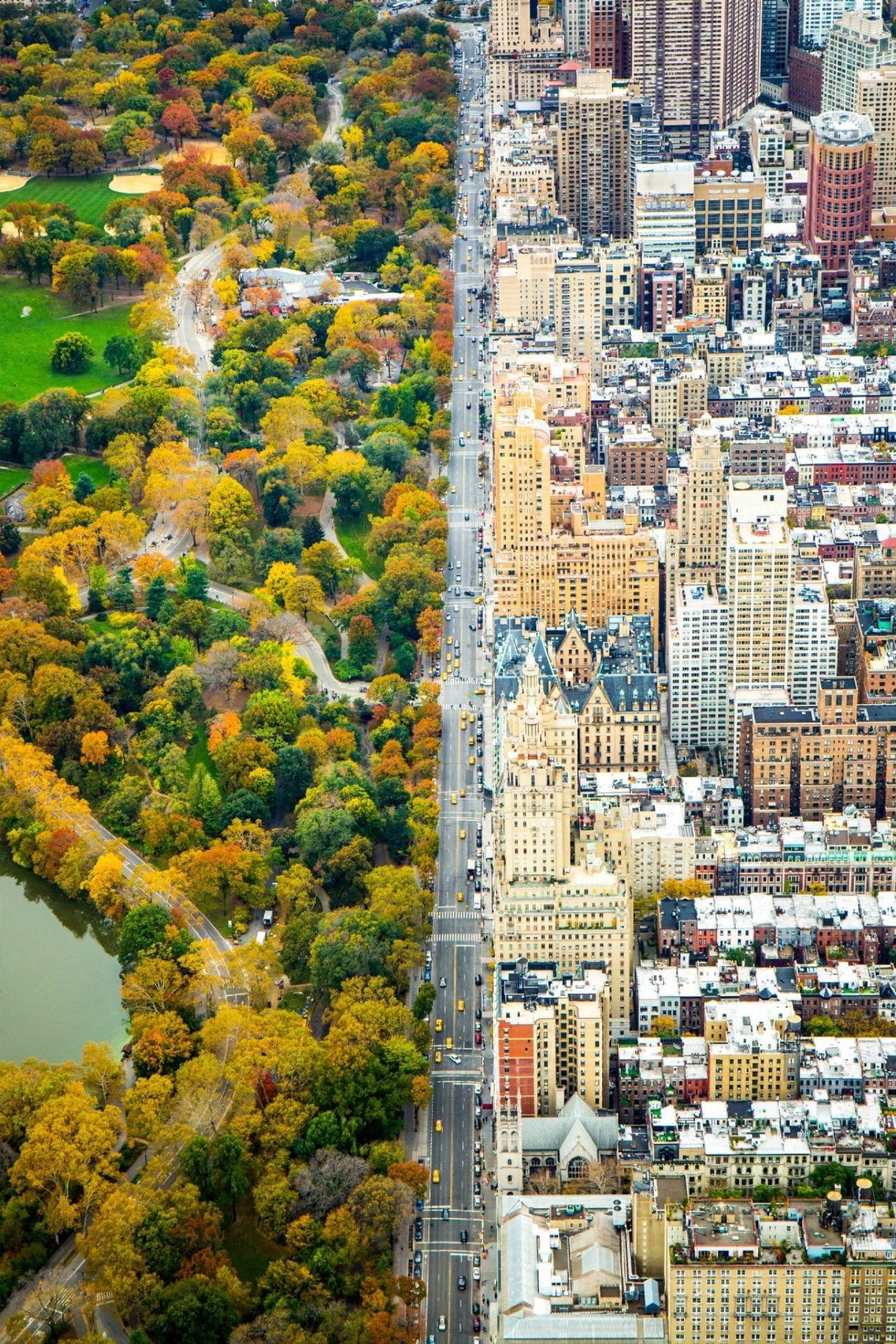 birds eye view, skyscraper, New York City, tree, church, aerial view, autumn, taxi, city, cityscape, no people, fall, park, growth, building exterior, street, Phone HD Wallpaper