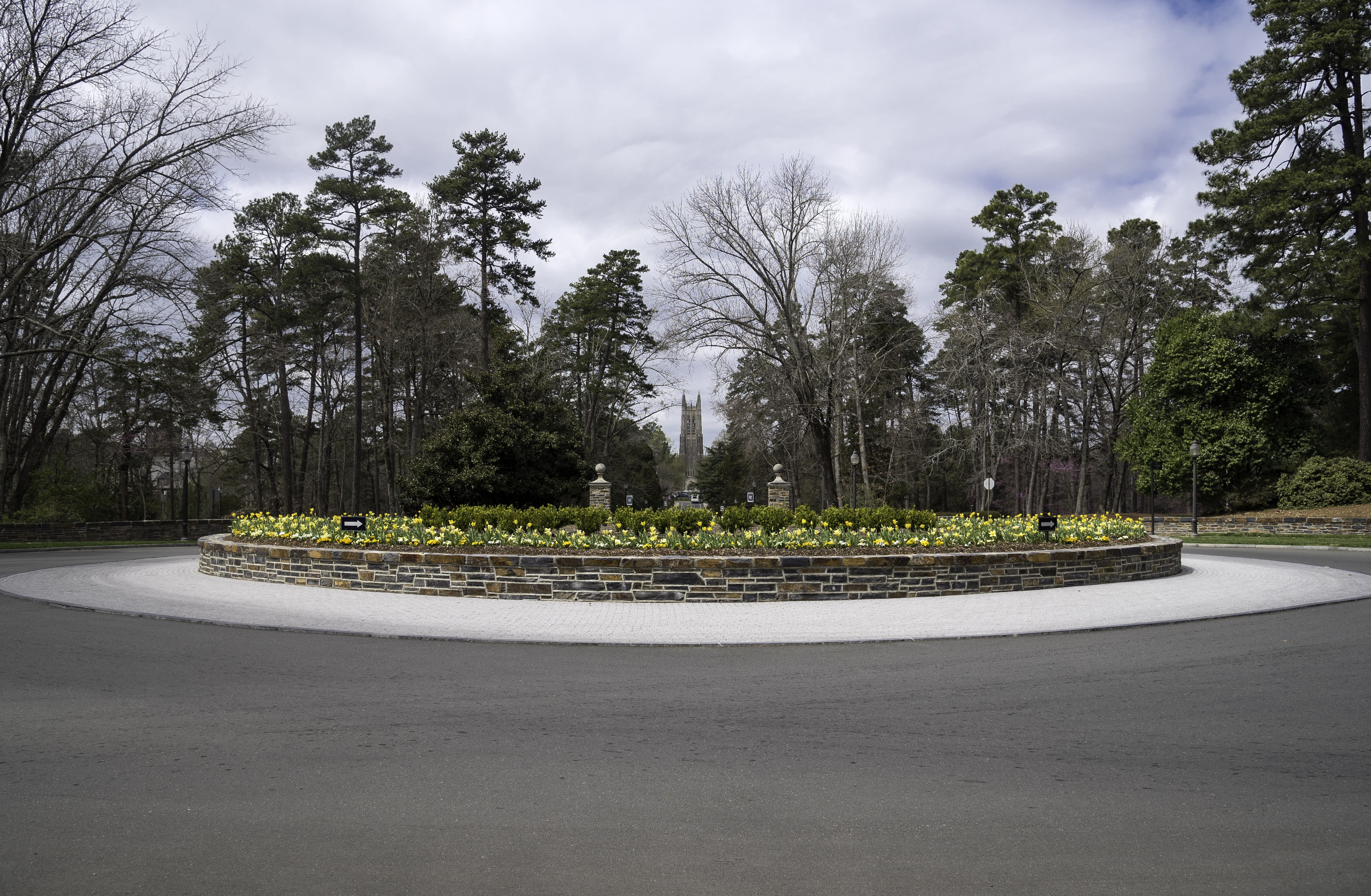 garden, sky, architecture, carolina, tree, tranquility, rural Scene, empty, north, clouds, photos, Duke University, university, nature, duke, cloud - sky, HD Wallpaper