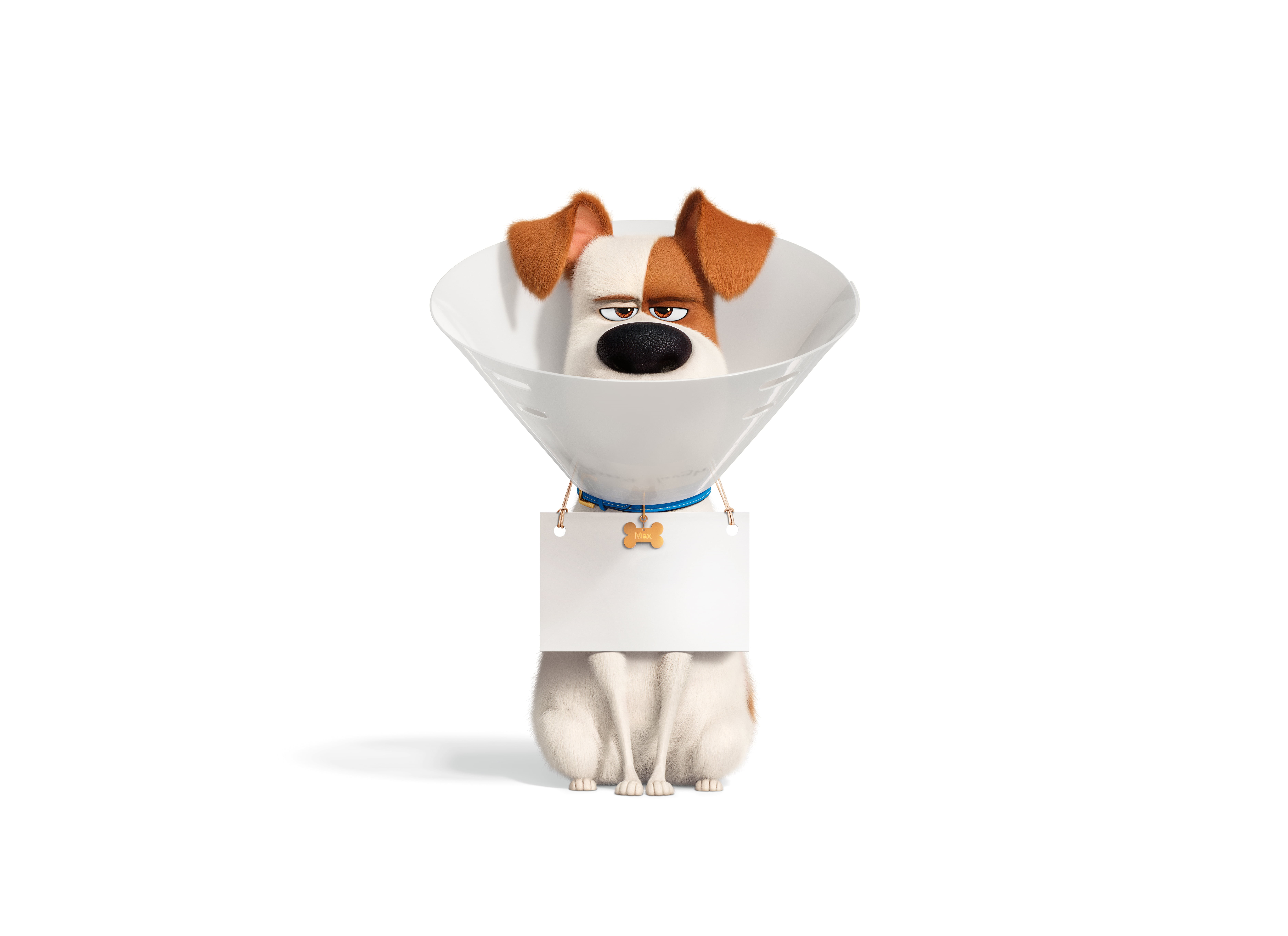5K, Movie, Max (The Secret Life of Pets), The Secret Life of Pets 2, HD Wallpaper