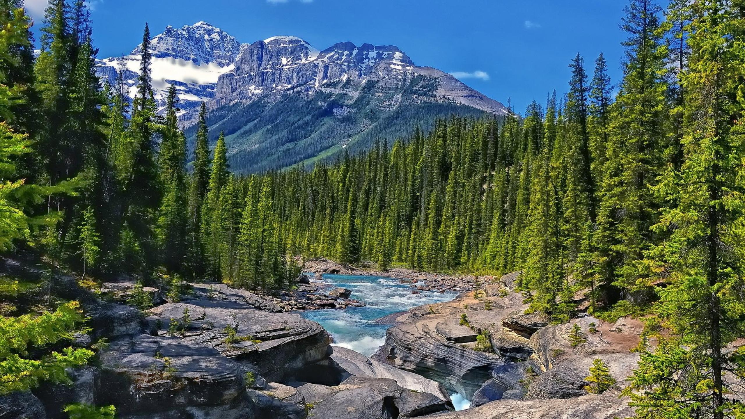 mountains, bow, forest, landscape, stone, river, rocky, alberta, 2K, pine, snow, valley, lak, banff, desktop, national, canada, park, HD Wallpaper
