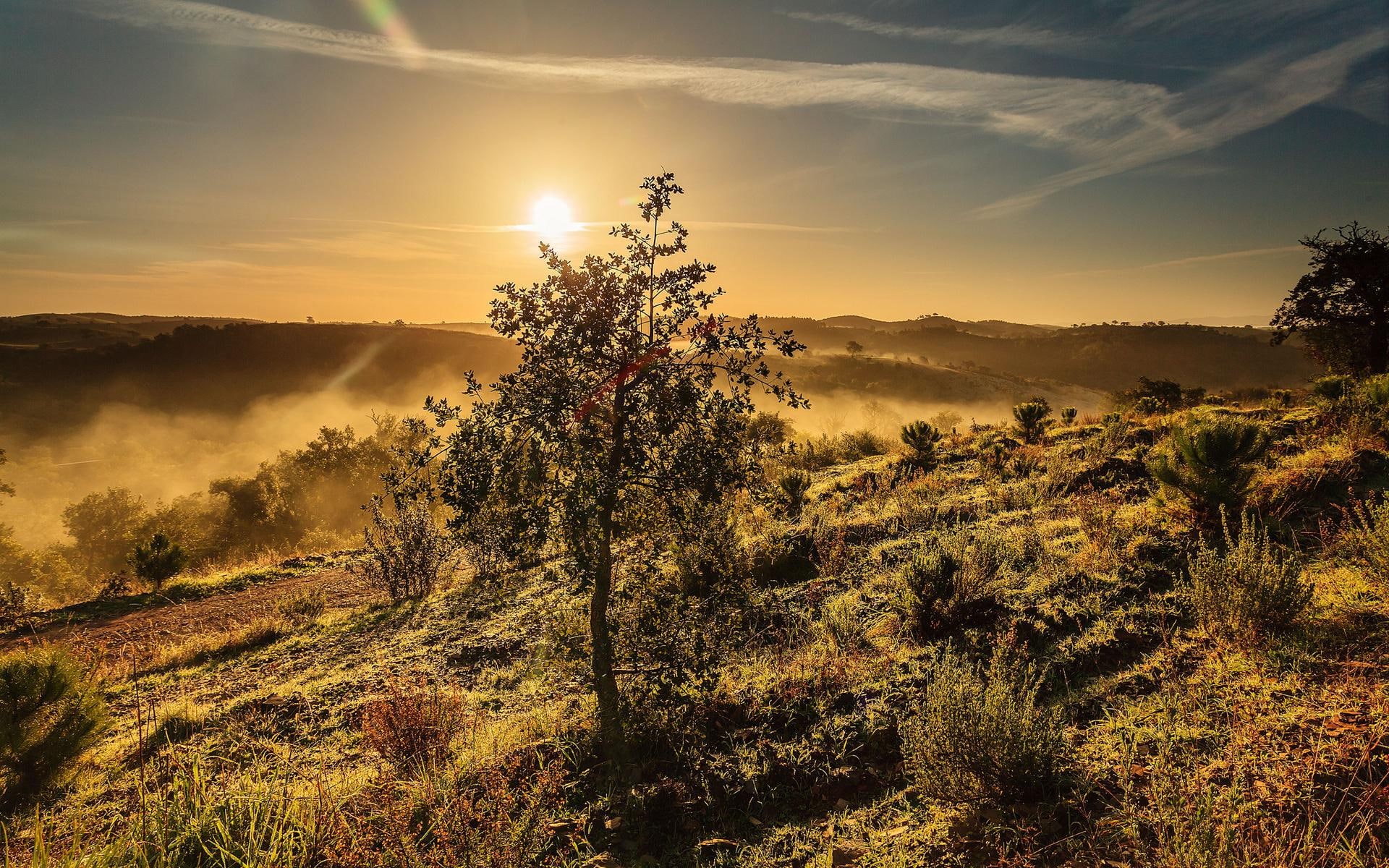 pictures, trees, sky, sunrise, landscapes, hills, sunset, high, mist, resolution, fog, 1080P, sunrise - sunset, HD Wallpaper
