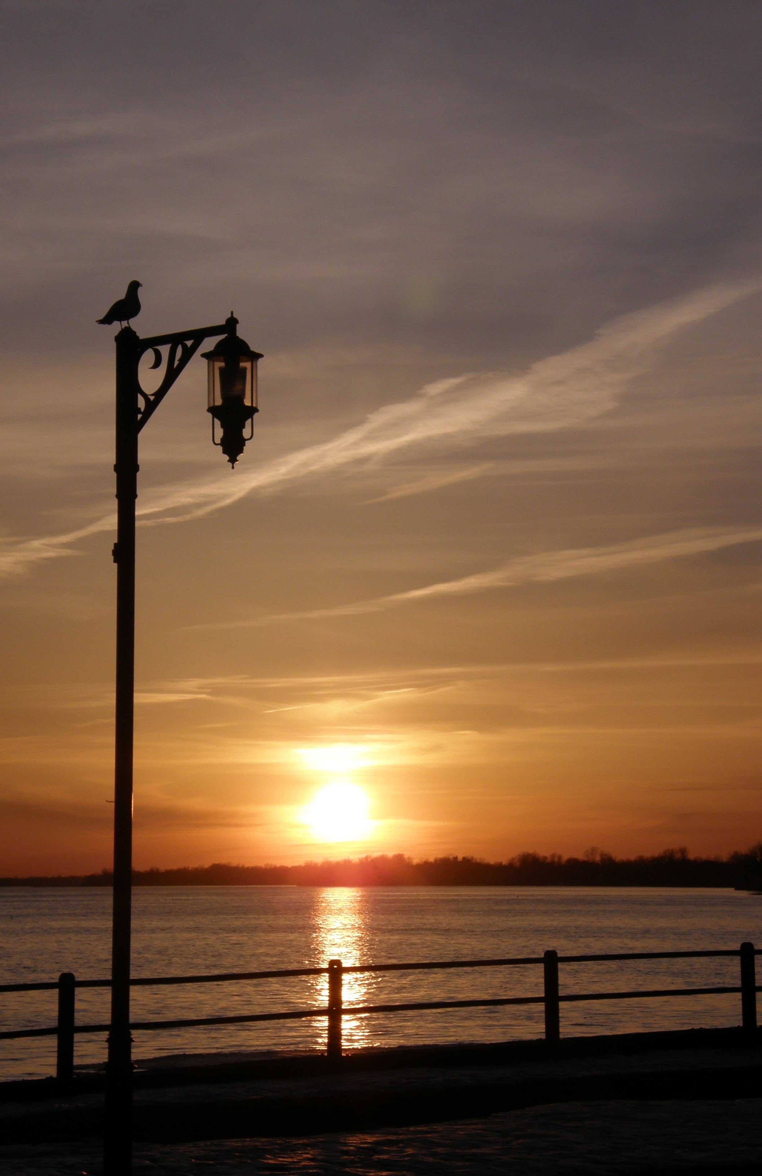 goodnight, 2K, horizon over water, wooden post, perched, sky, outdoors, sea, scenics - nature, beauty in nature, beach, near, silhouette, bird, river, Phone HD Wallpaper
