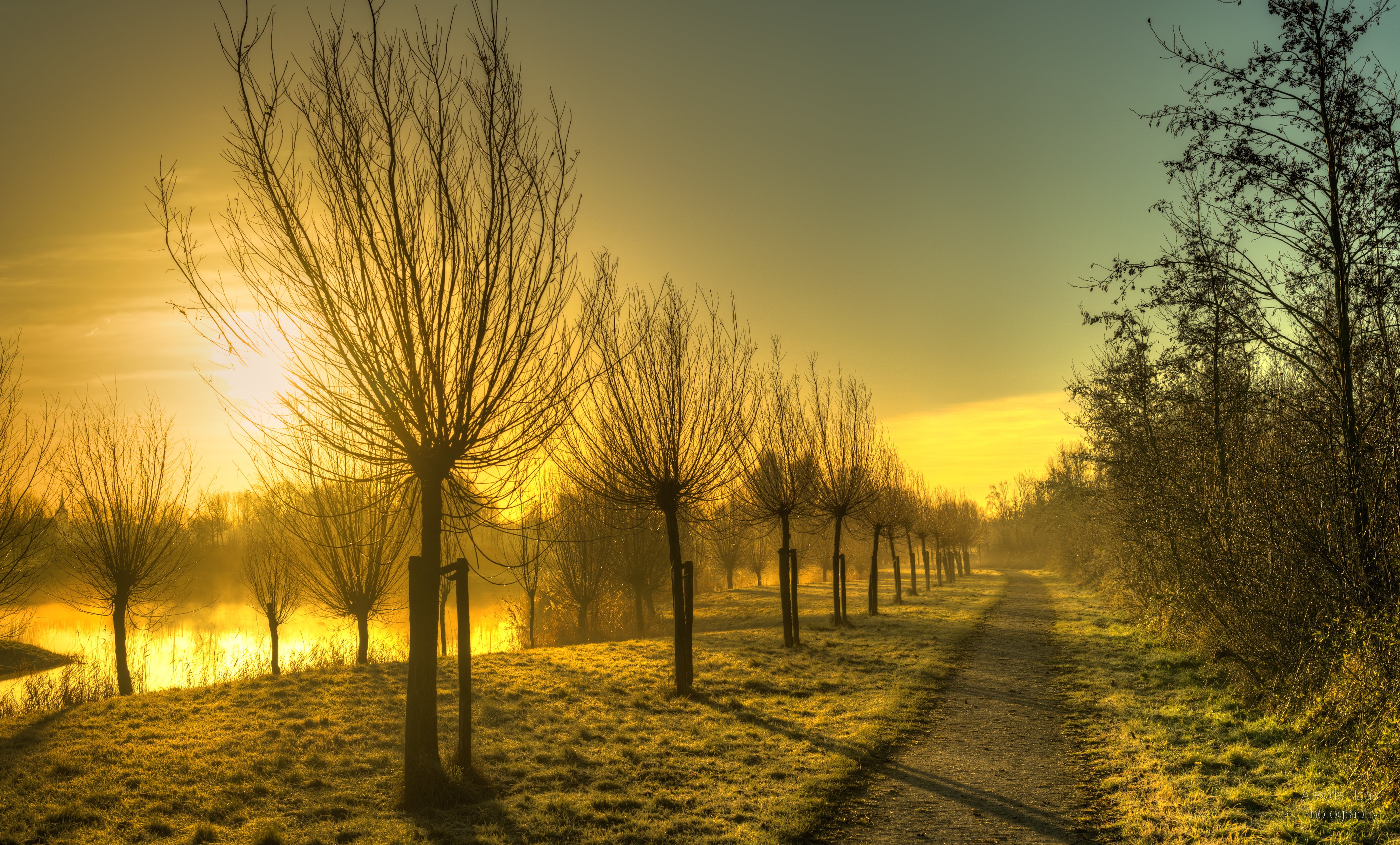 golden, kale, autumn, sun, landscape, morning, light, beauty, boom, green grass, sunlight, orange skies, high dynamic range, warm, fire, misty, mist, bare, HD Wallpaper