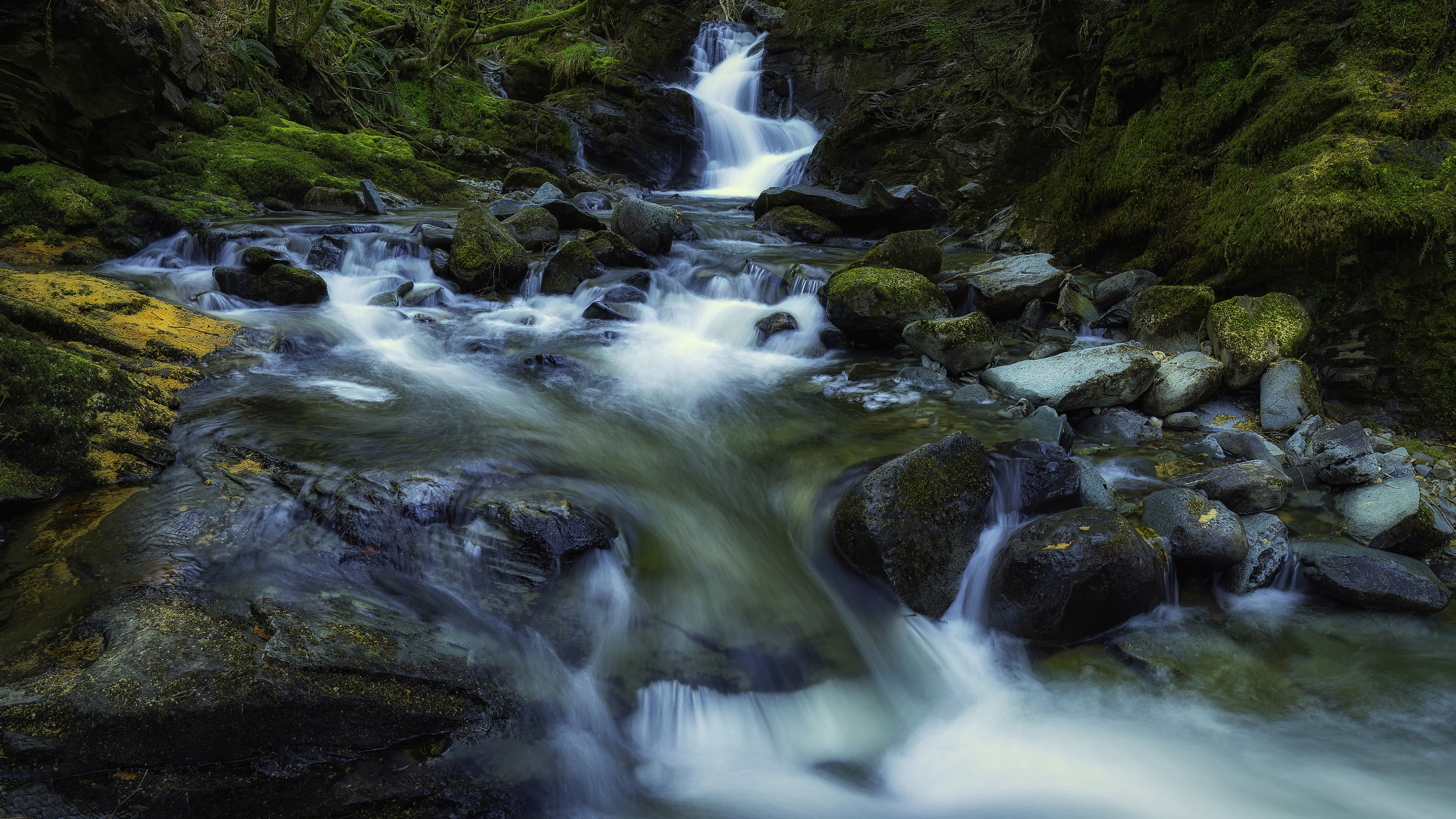 stream, rainforest, flowing, outdoors, stream - flowing water, plant, mobile, green, blurred motion, long exposure, 5K, waterfalls, tree, mos, solid, scotland, HD Wallpaper
