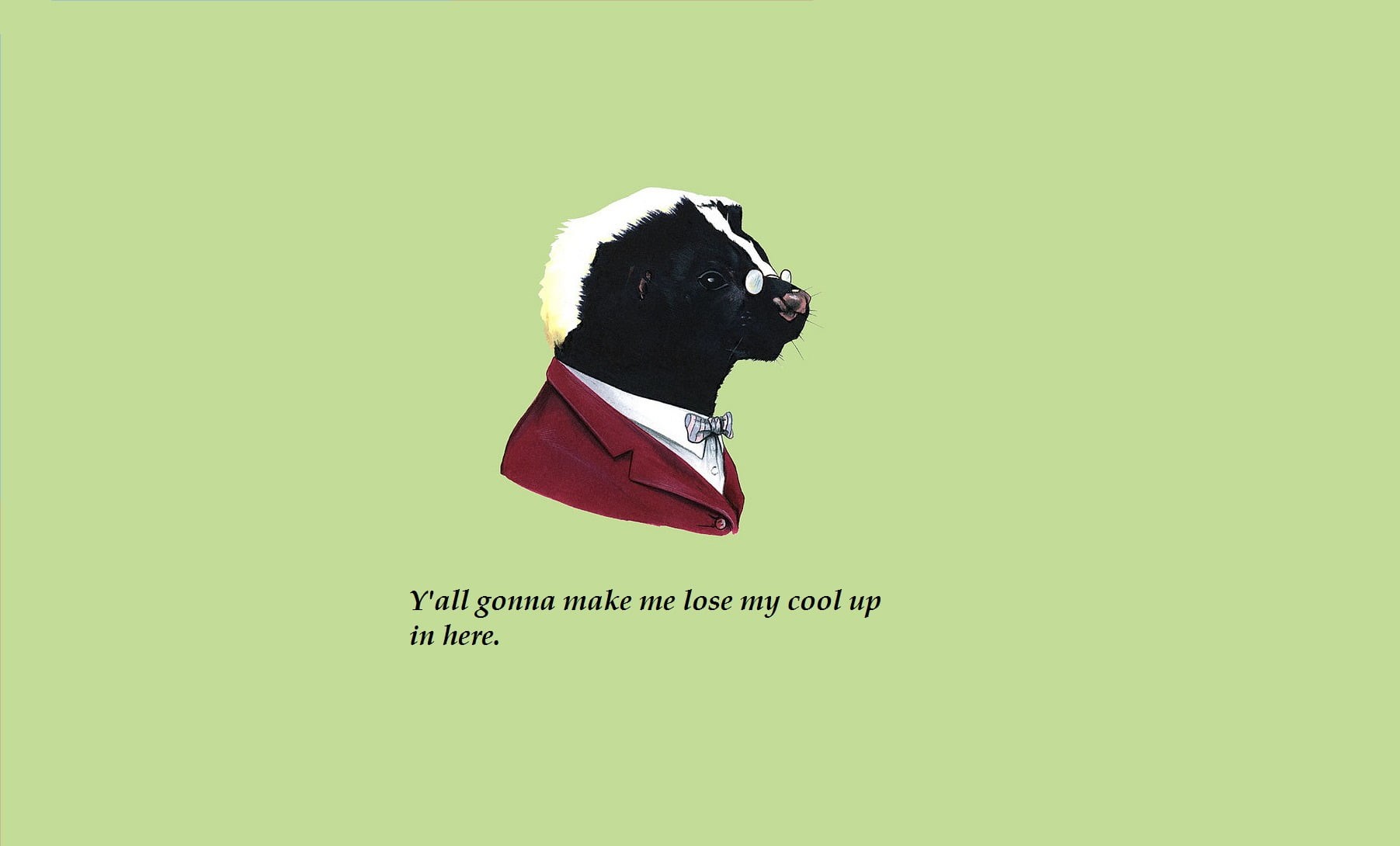 quote, indoors, profile view, green background, domestic, pets, animal, green color, text, boar, canine, copy space, head, vertebrate, studio shot, western script, HD Wallpaper