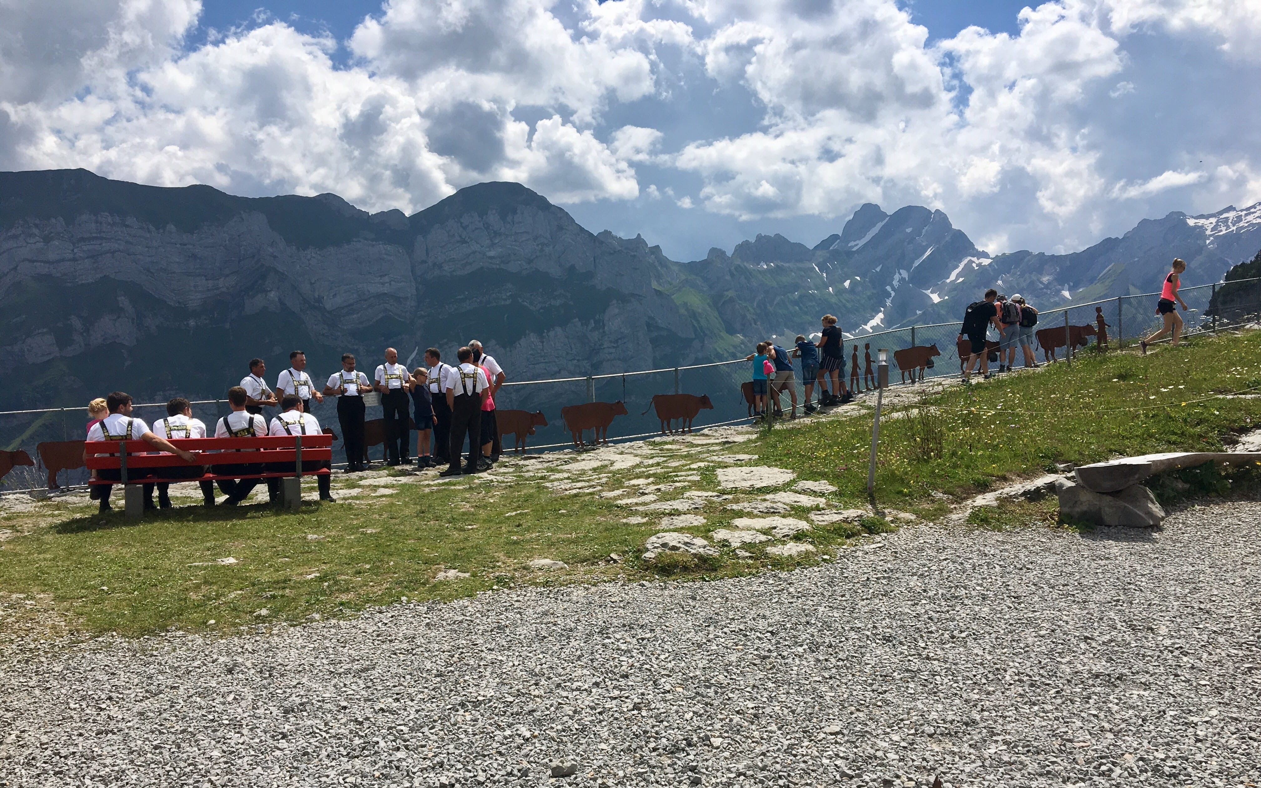 europe, mountain, day, leisure activity, lifestyles, eat, men, sculpture, plant, large group of people, hike, 4K, restaurant, man, landscape, cow, säntis, HD Wallpaper