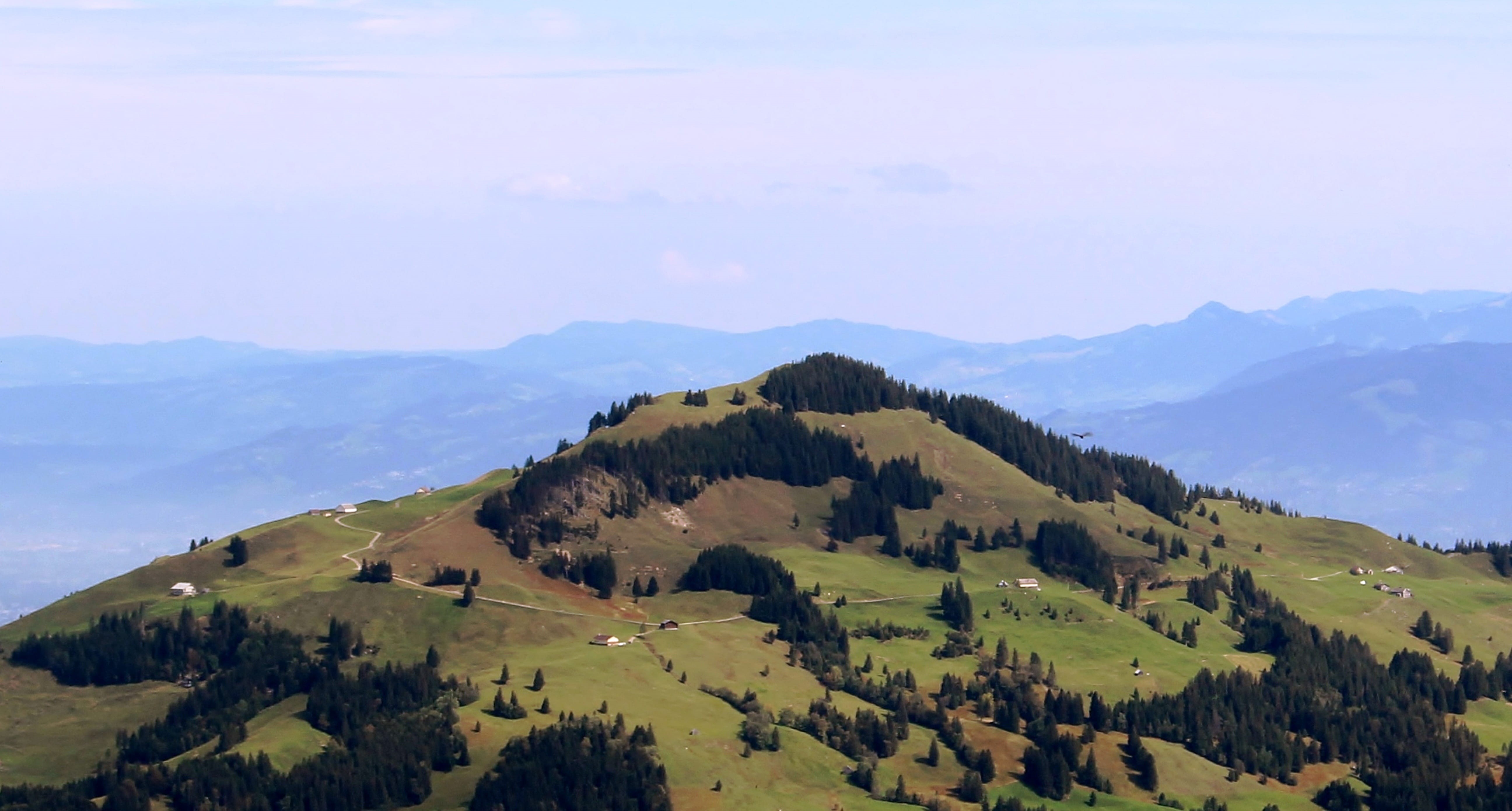 Mountains, Swiss Alps, appenzell, forests, tranquility, scenics, scenics - nature, green color, tranquil scene, field, land, beauty in nature, mountain peak, HD Wallpaper