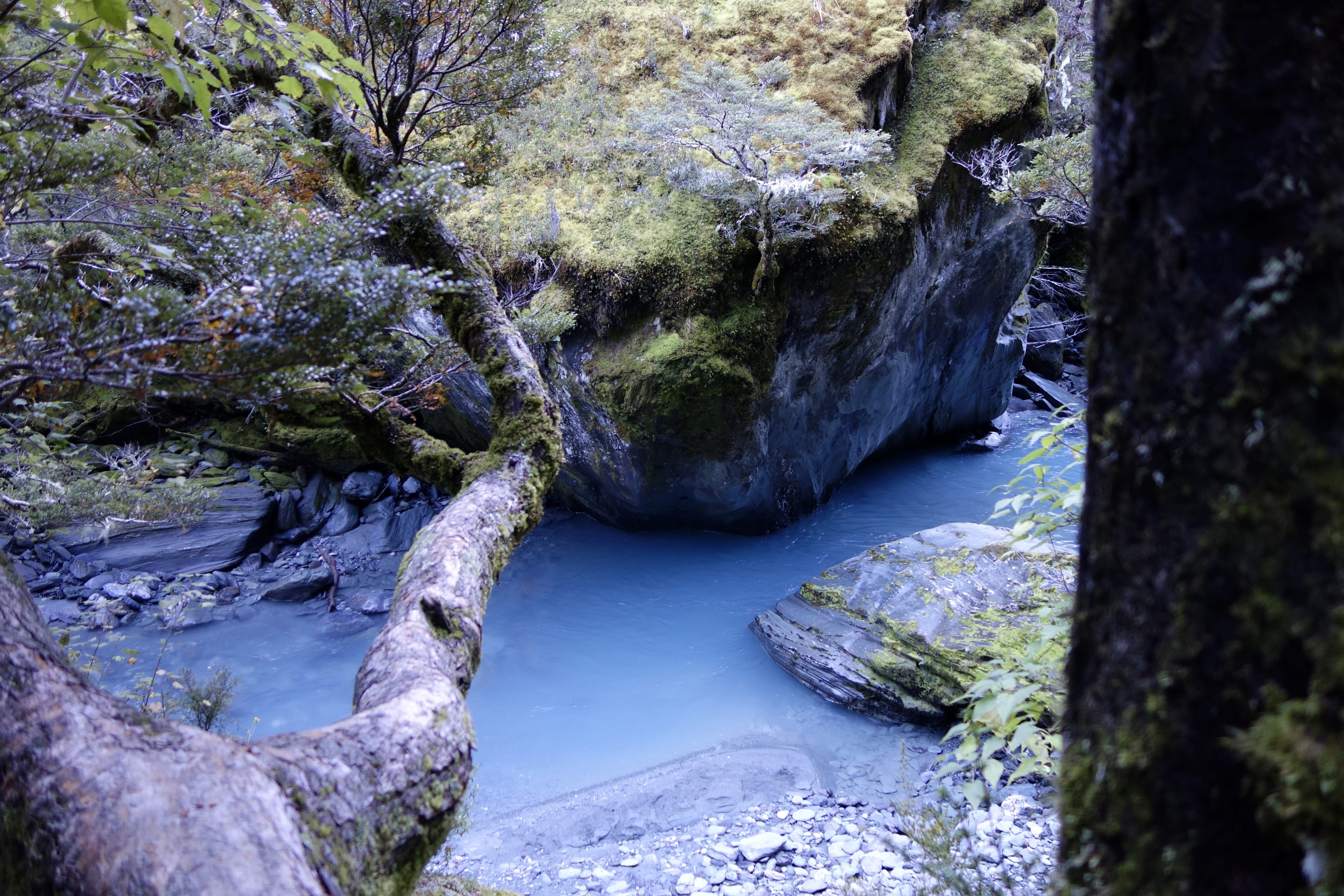 new zealand, solid, day, no people, land, forest, rob roy, 5K, outdoors, rock, motion, plant, scenics - nature, flowing, tree, rock - object, water, eroded, HD Wallpaper