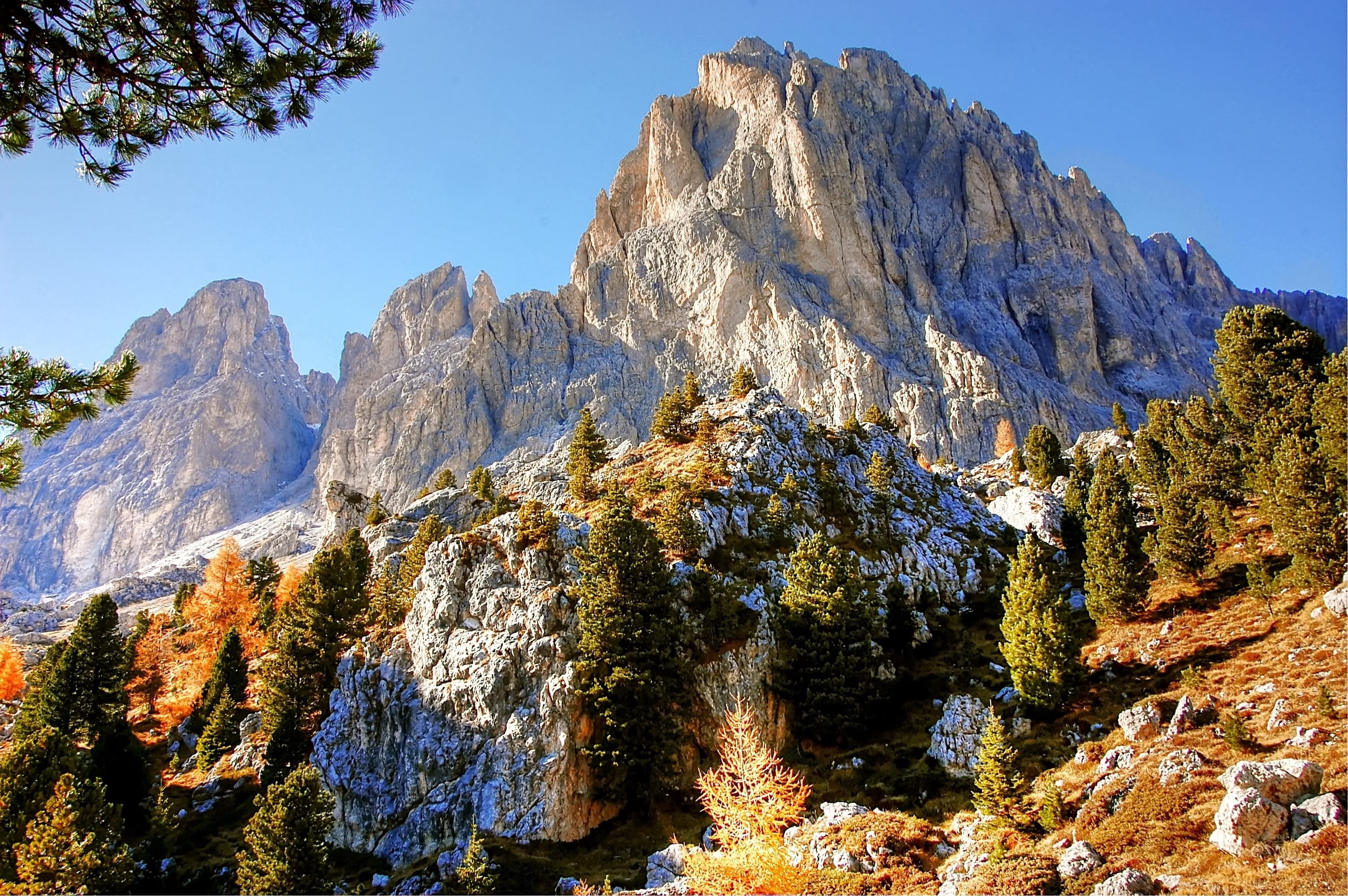 plattkofel, 2K, formation, landscape, nature, plant, clear sky, rock - object, dom, meadow, mountains, beauty in nature, growth, scenics - nature, italy, HD Wallpaper