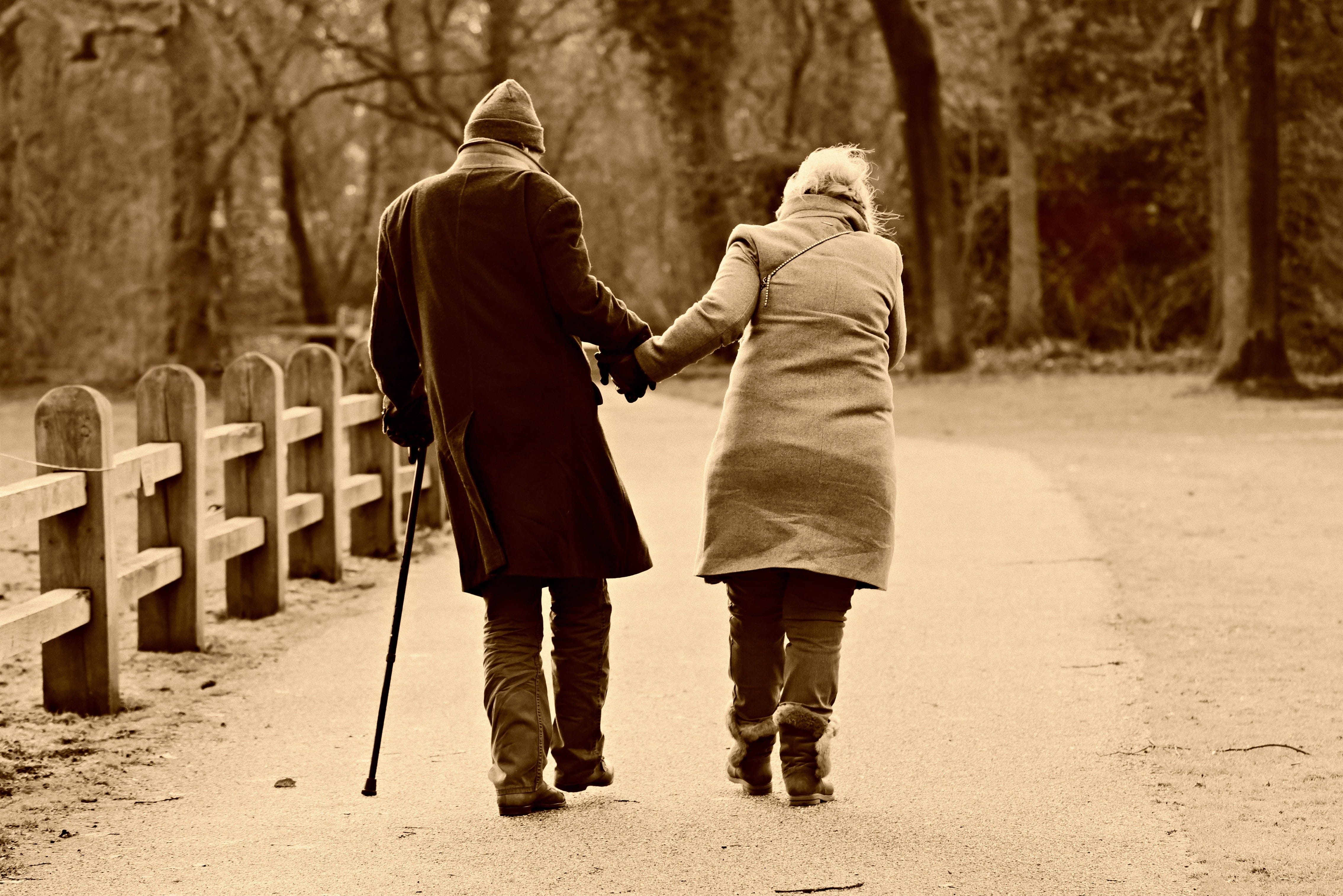 women, winter, positive emotion, real people, warm clothing, bonding, park, holding hands, side by side, emotion, people, path, son, two people, day, editorial, HD Wallpaper
