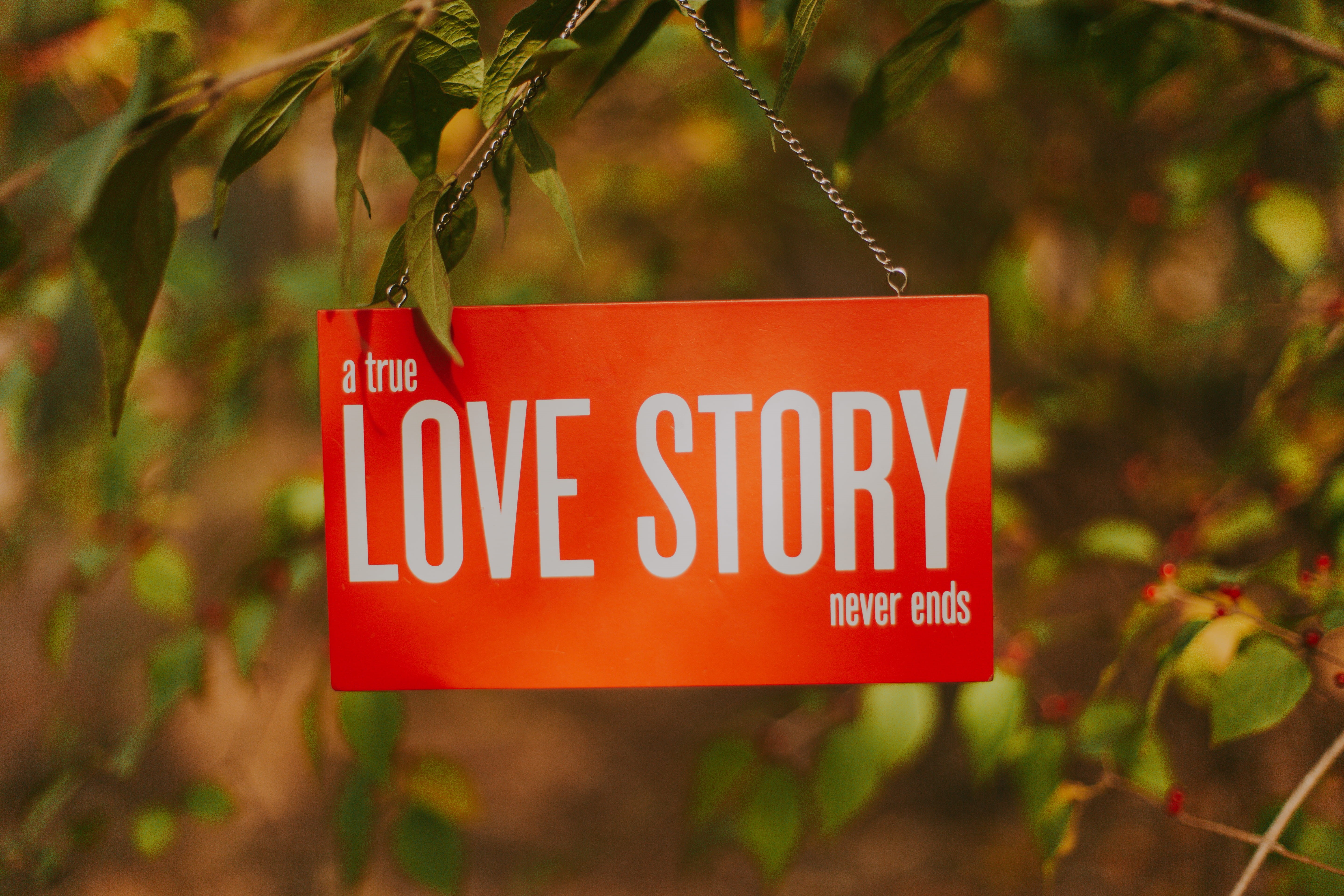 nature, never, plant, 5K, information, no people, day, text, communication, hanging, environment, landscape, tree, plant part, red, guidance, story, message, HD Wallpaper