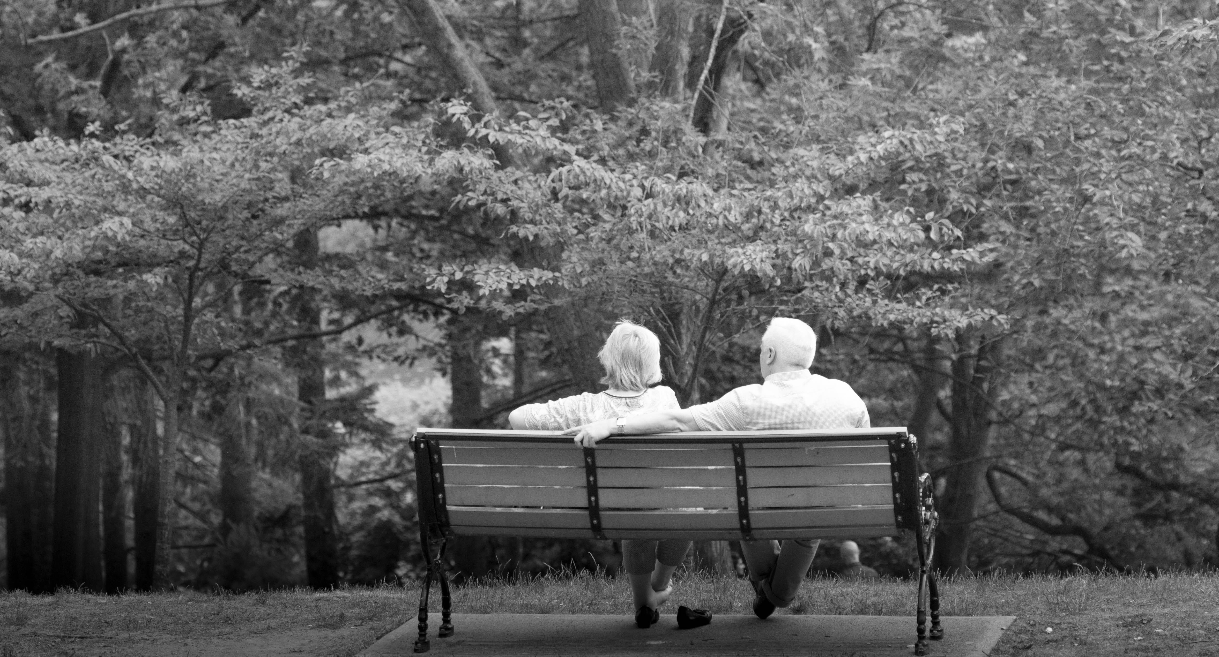 girl, real people, men, boy, people, emotion, making love, 4K, tree, park, seat, park bench, life, friendship, jungle, day, two people, couple - relationship, HD Wallpaper