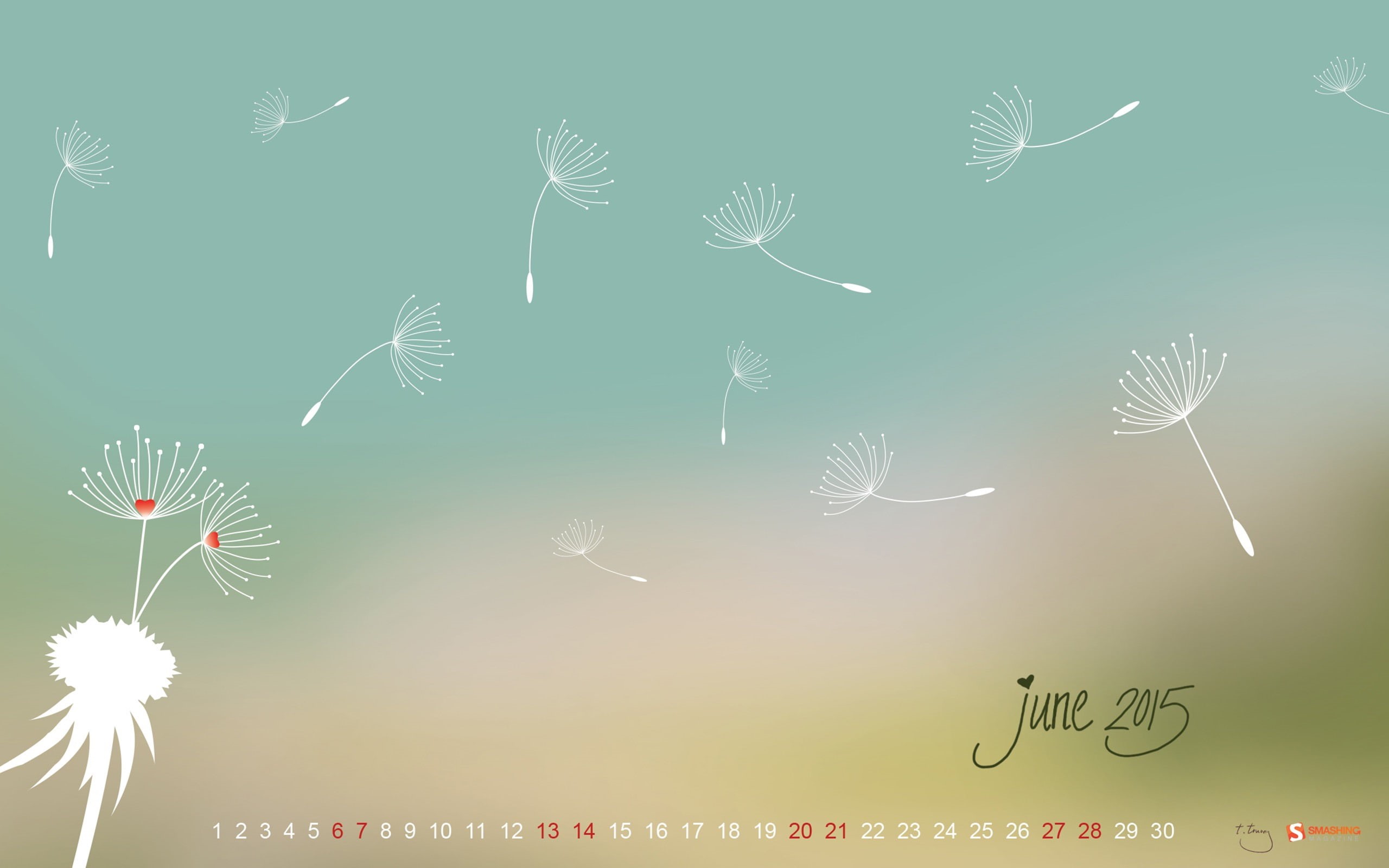 no people, outdoors, beauty in nature, pattern, tree, june, day, 2K, white, love, cloud - sky, communication, flower, flowers, nature, text, HD Wallpaper