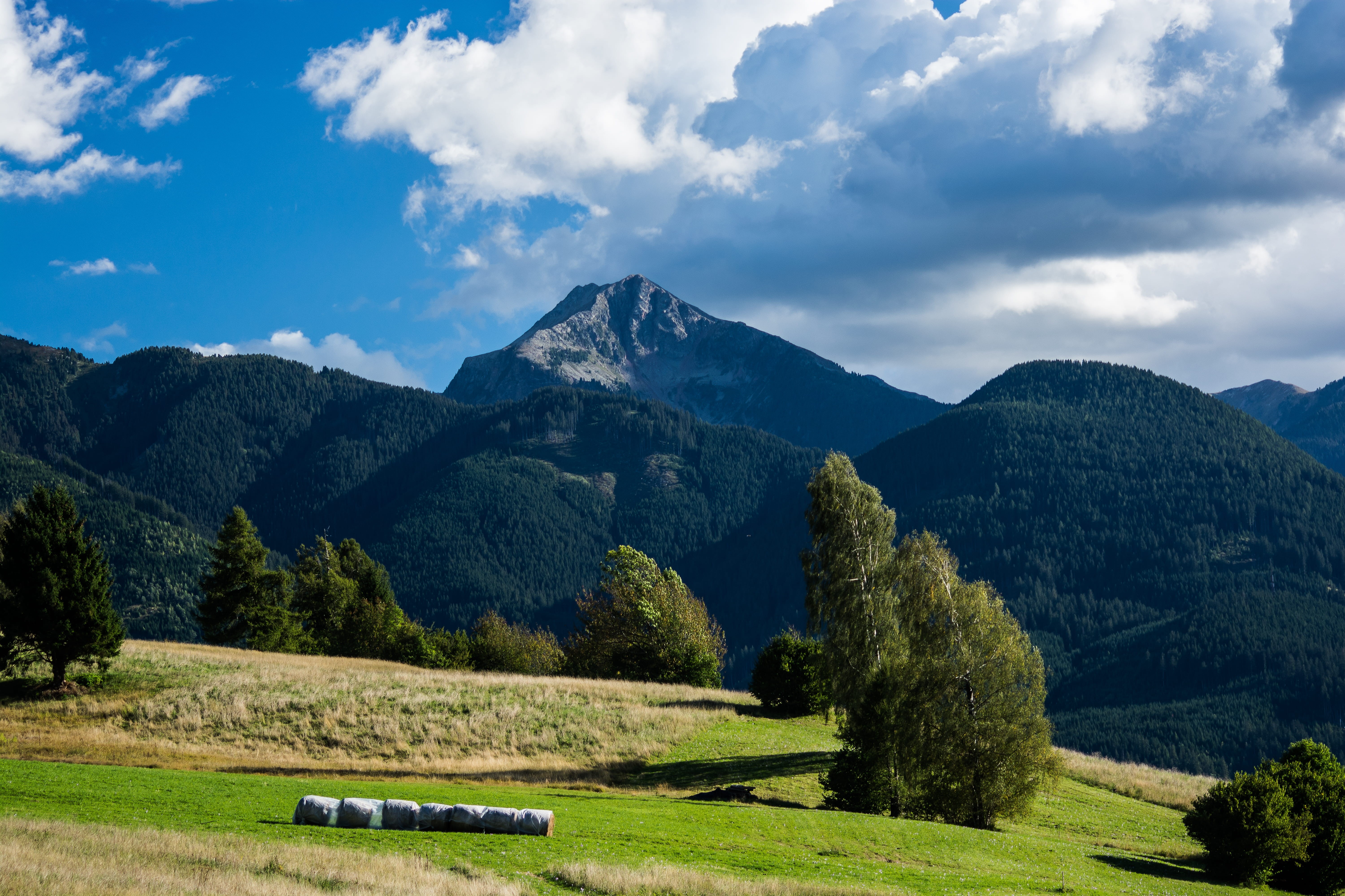 tree, environment, no people, non-urban scene, sky, outdoors, cavalese, mountain range, green color, land, scenics - nature, mountain, day, trentino alto adige, HD Wallpaper