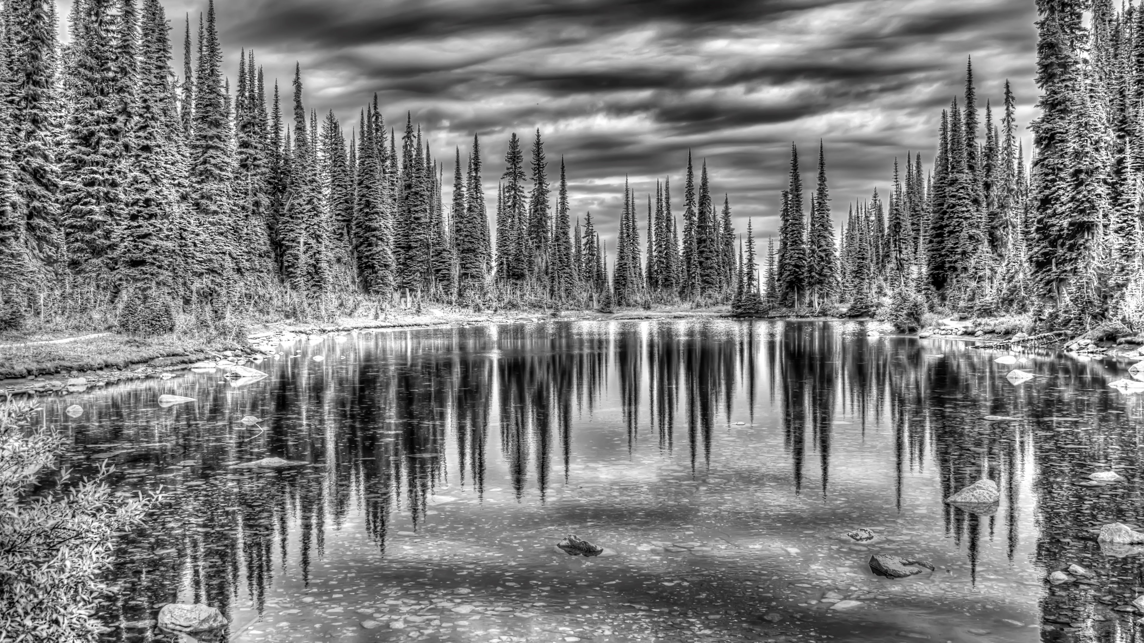 lake, sky, british columbia, forest, monochrome photography, nature, monochrome, landscape, black and white, bc, canada, photography, hdr, water, balsam lake, HD Wallpaper