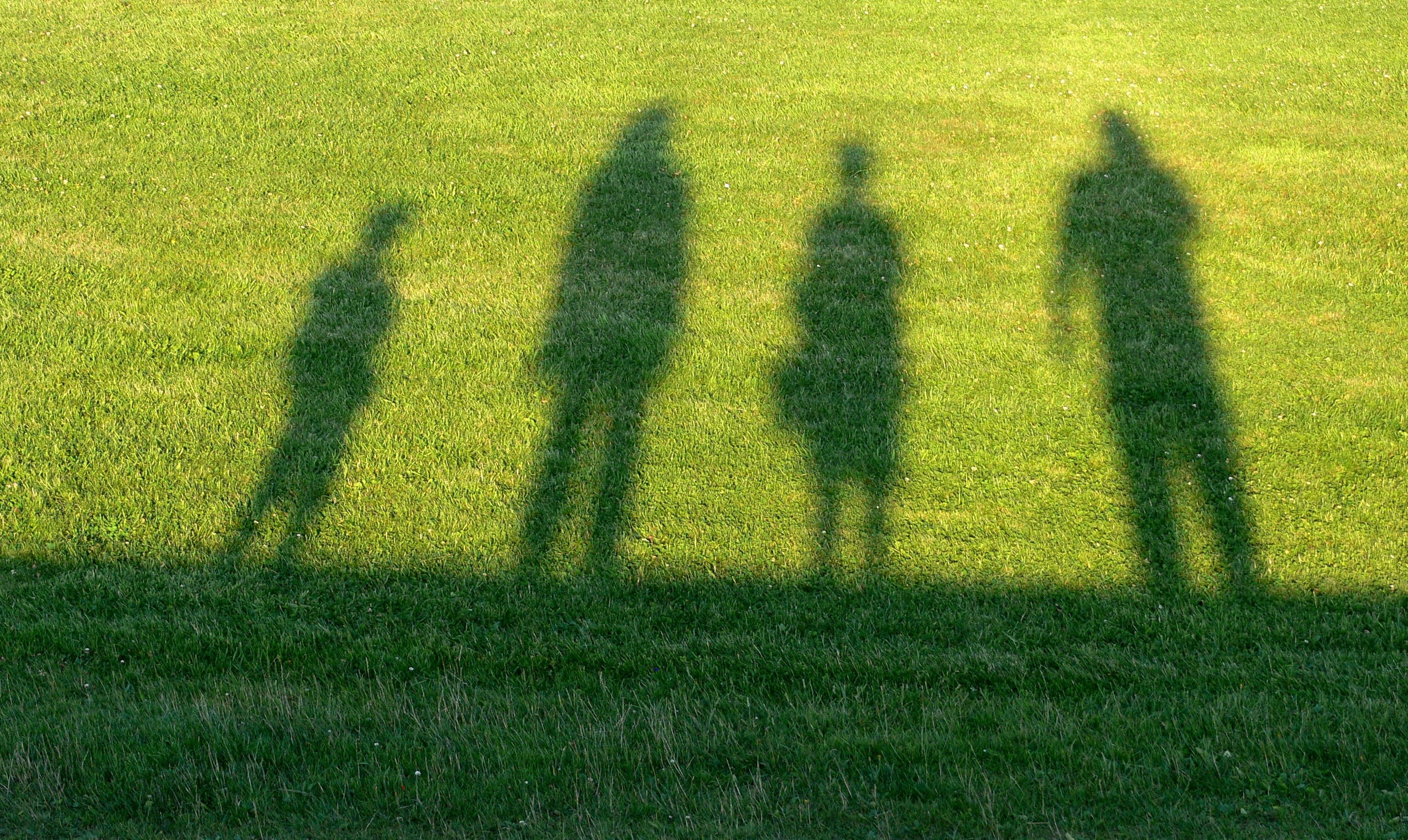 big kids, family ties, long shadow - shadow, body, relationship, leisure activity, unrecognizable person, nature, better, field, background, fun, funny, HD Wallpaper