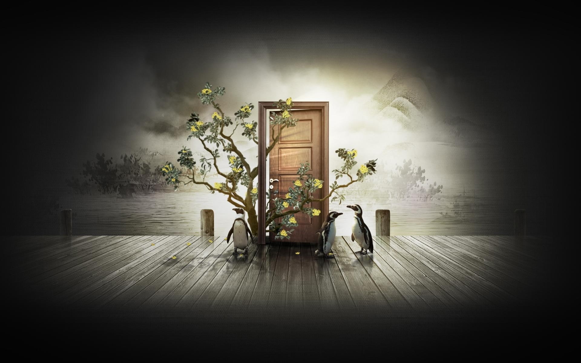 flowery, 1080P, door, tree, black, pinguoins, abstract, wooden, parquet, brown, HD Wallpaper