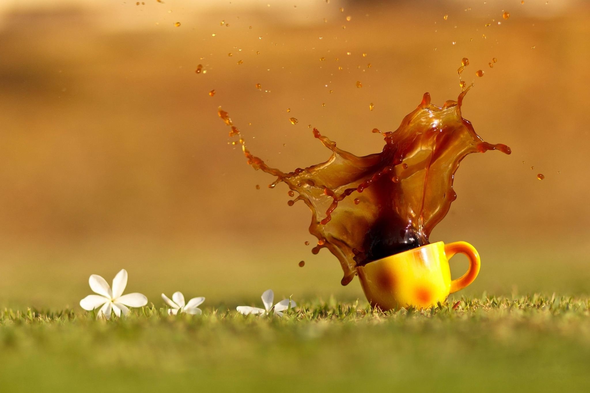 flowery, photo, coffee, three, ceramic, 3d and abstract, meadow, food, petaled, flowers, 1080P, mug, yellow, drink, HD Wallpaper