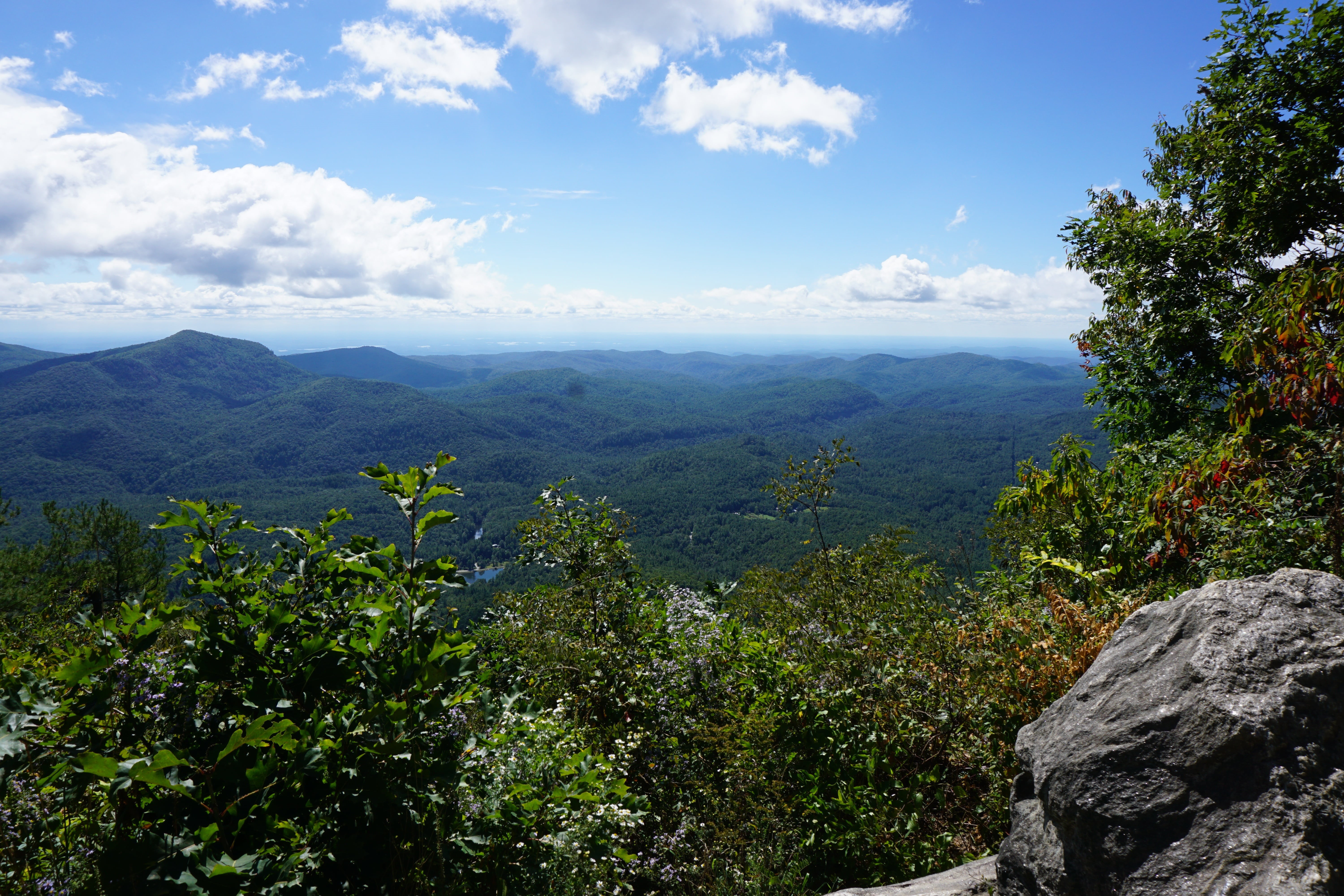 growth, highlands, north carolina, 5K, environment, nature, no people, day, cloud - sky, cliffs, tree, idyllic, green color, landscape, sky, tranquility, HD Wallpaper