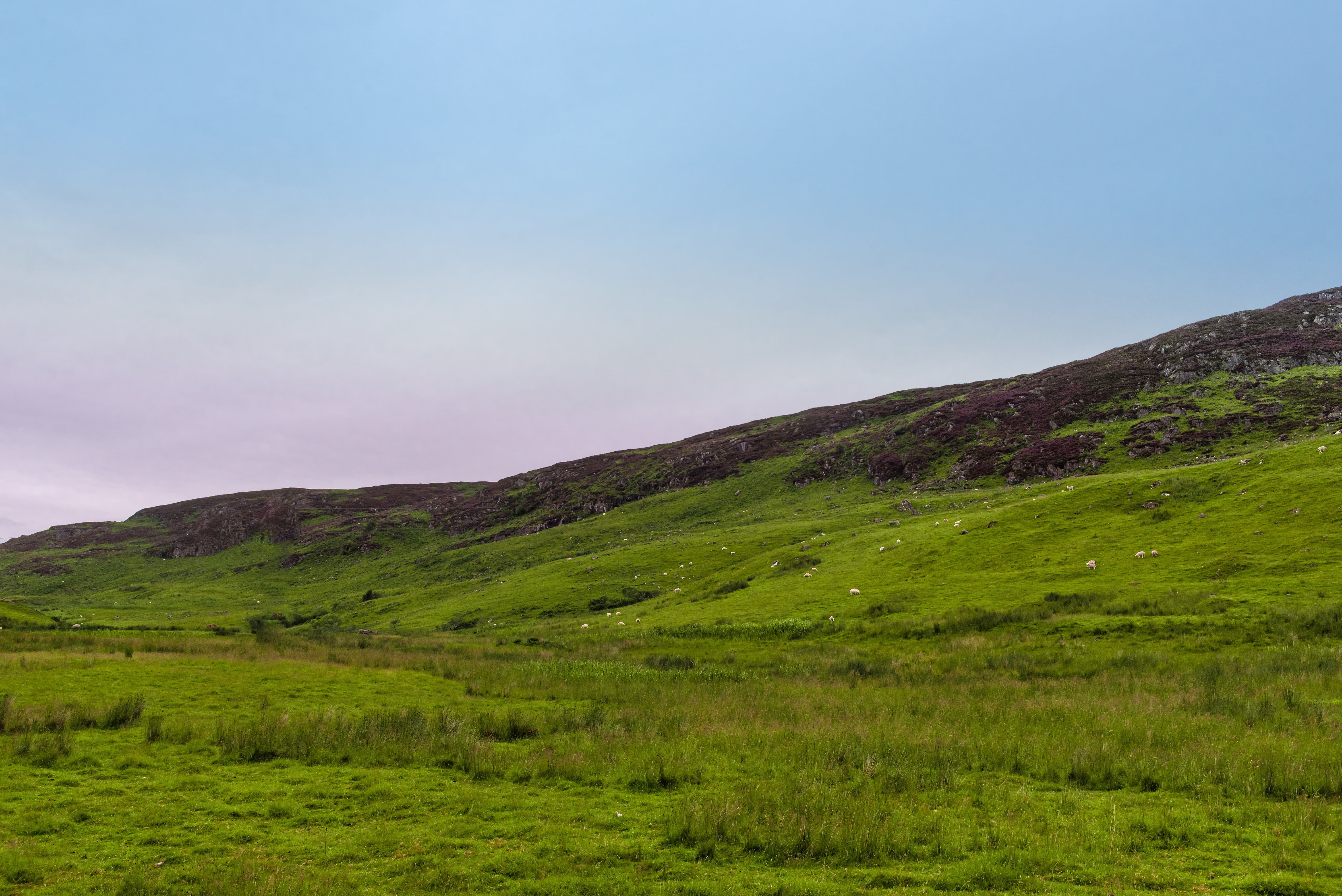 land, sky, non-urban scene, scenic, plant, highlands, landscape, meadow, scotland, hill, travel, tranquil scene, empire, world, 5K, grass, scenics, green, HD Wallpaper