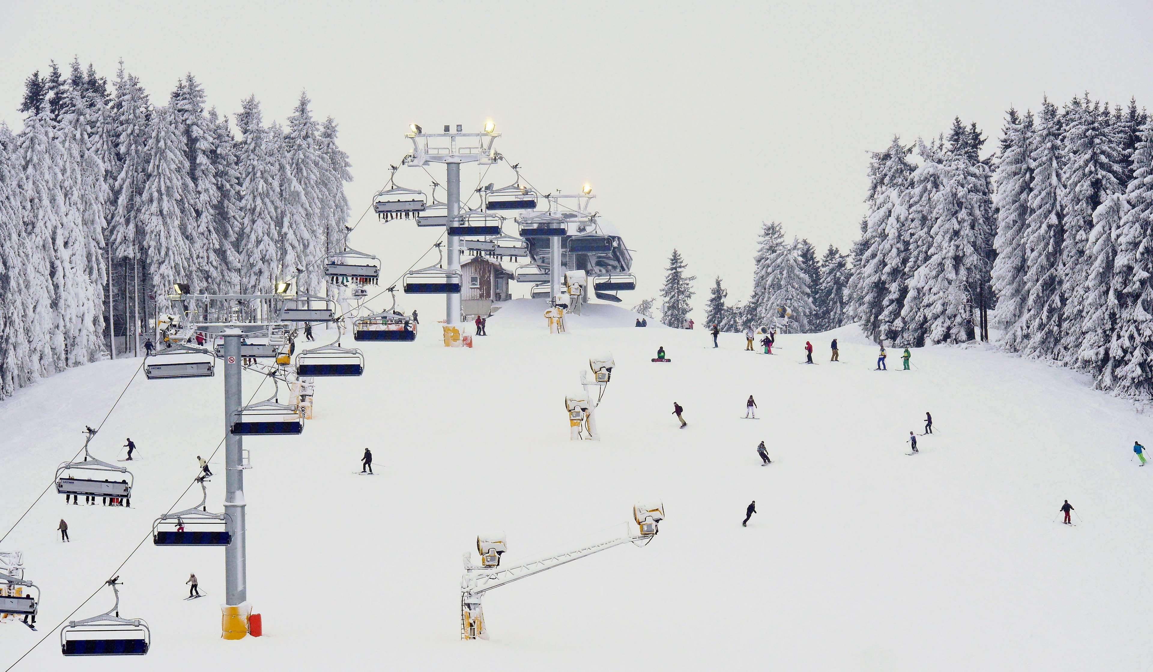 scenics - nature, ski runner, spotlight, nature, westfalen, mode of transportation, day, transportation, snowboarding, plant, north slope, skiing, sky, HD Wallpaper