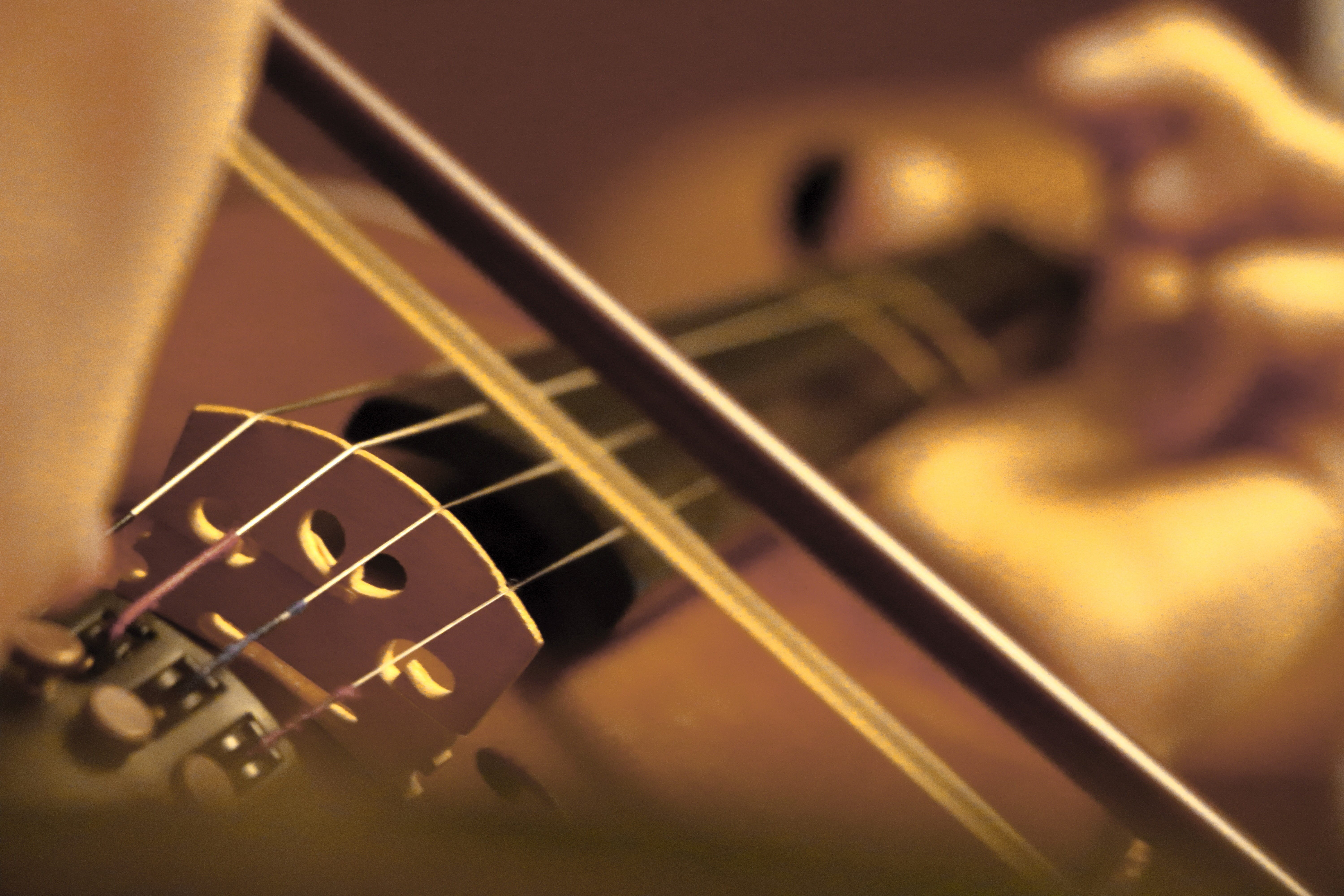 musician, strings, studio shot, bow, string instrument, bow - musical equipment, one person, musical equipment, 5K, fiddle, arts culture and entertainment, HD Wallpaper