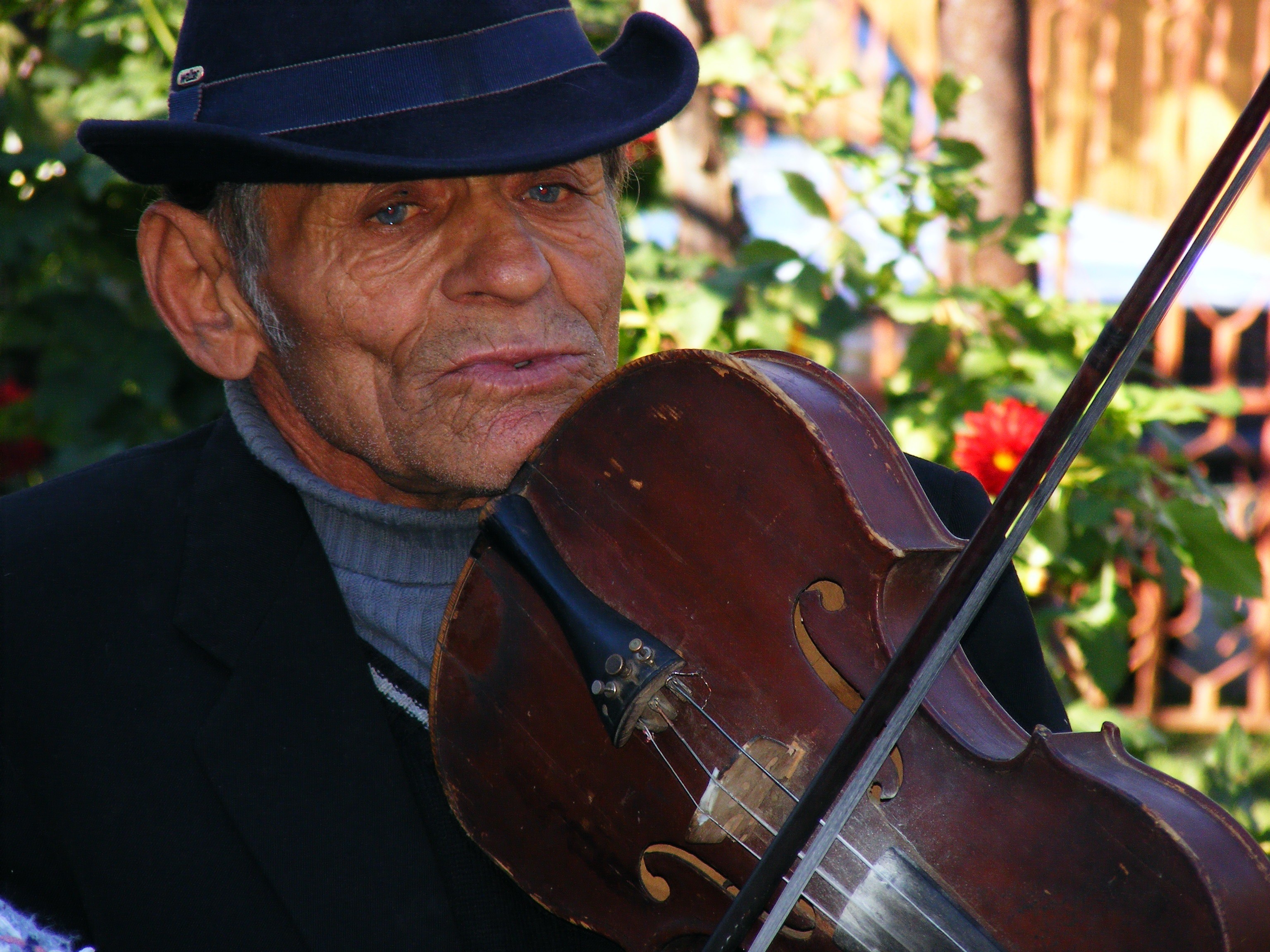 classical Music, fiddler, stringed, music, playing, looking at camera, gypsy, contemplation, males, musical Instrument, lifestyles, performing, man, violin, HD Wallpaper