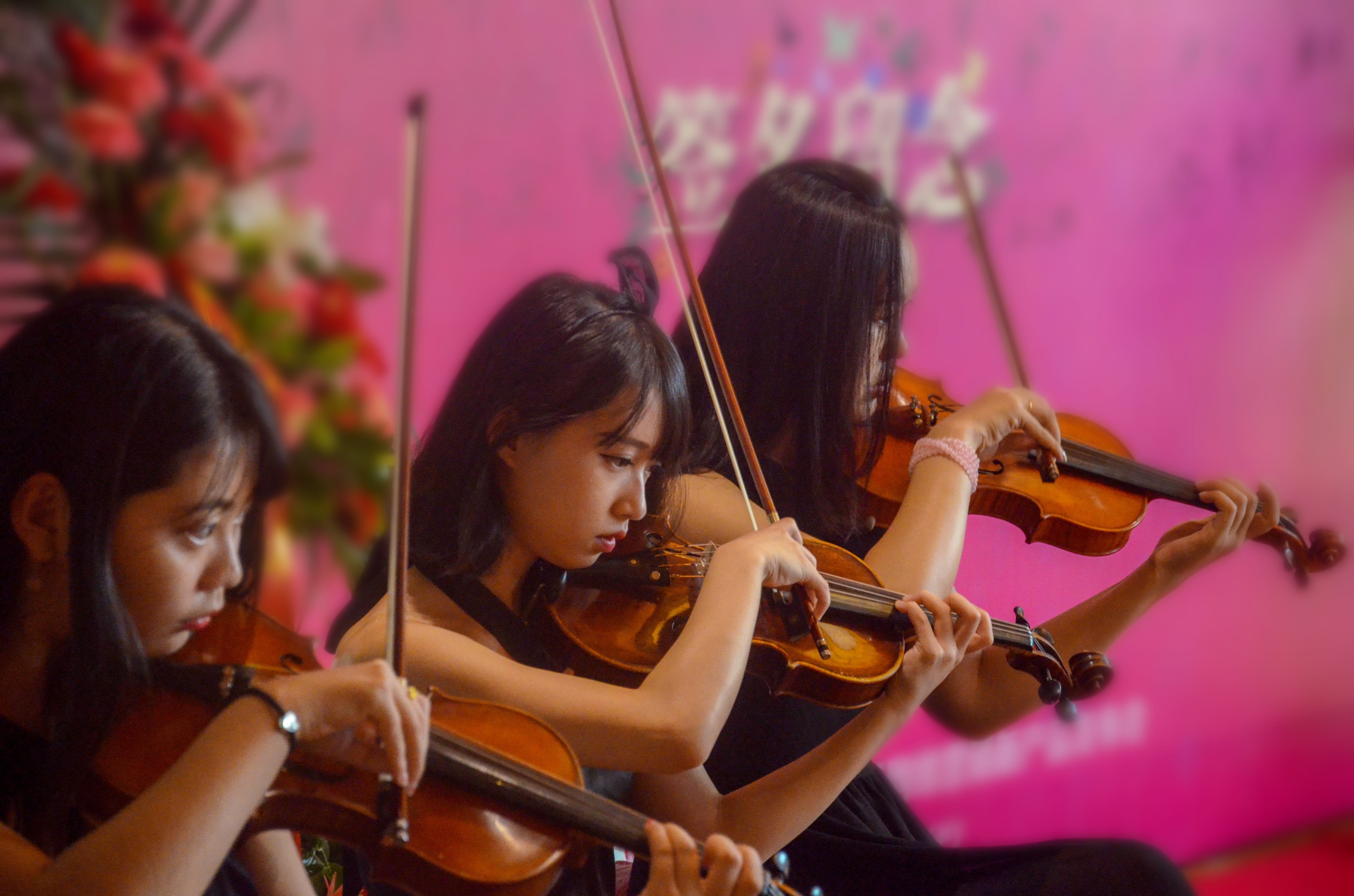 playing, young women, holding, women, 4K, arts culture and entertainment, indoors, Asia, artist, musical equipment, skill, Music, Violin, string instrument, HD Wallpaper