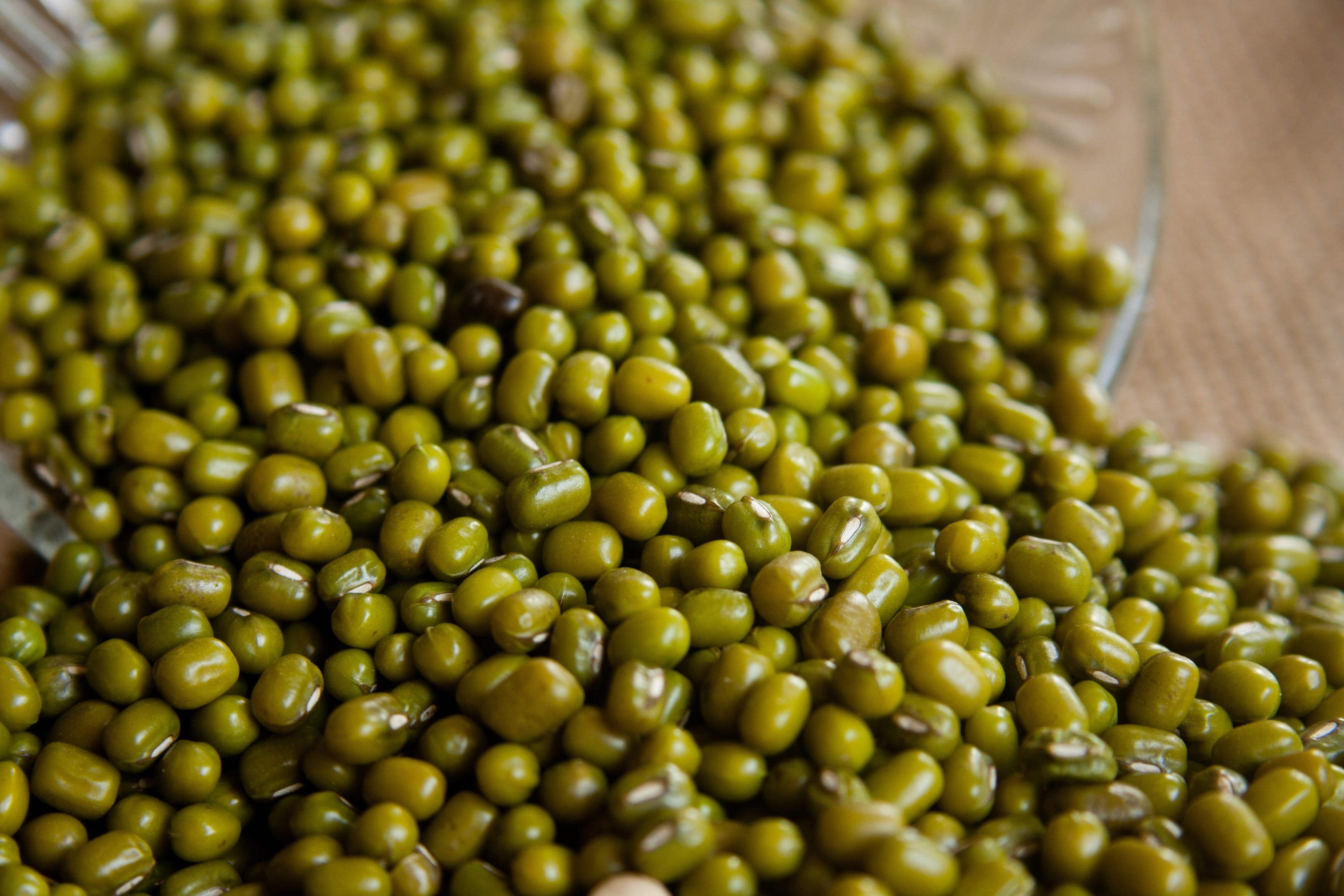 food and drink, wellbeing, food, green gram, beans, raw food, close-up, selective focus, legume family, indoors, healthy eating, freshness, still life, HD Wallpaper