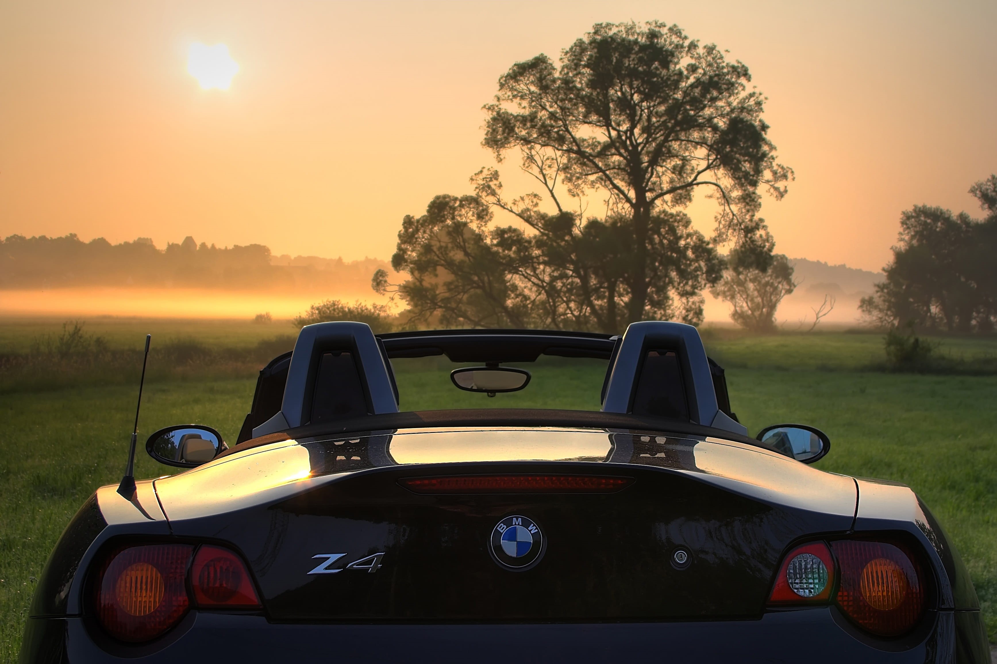 z4, transportation, roadster, convertible, e85, outdoors, pkw, open, nature, parked, land vehicle, orange color, golden, sunlight, 2K, tree, sky, no people, HD Wallpaper
