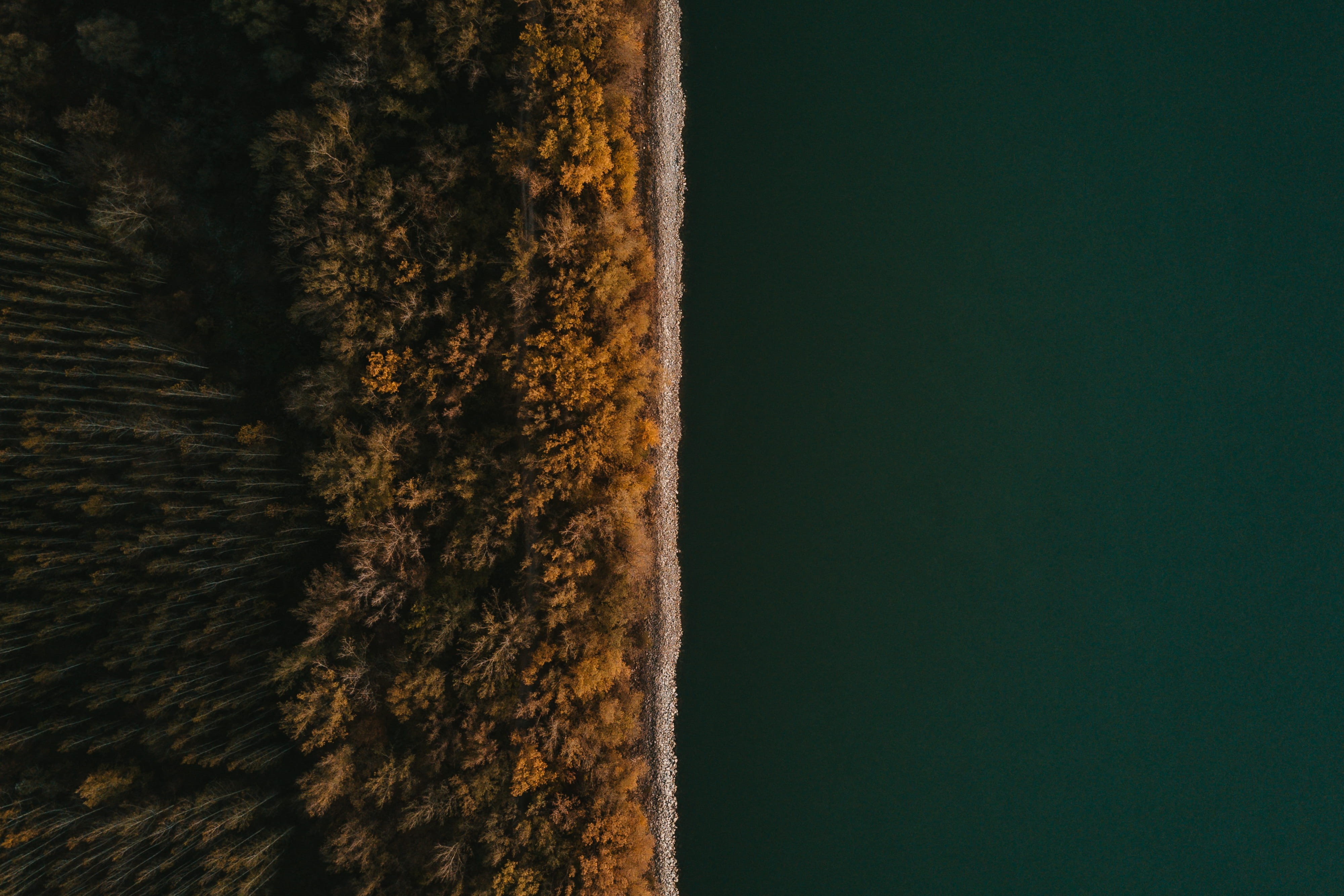 top, backgrounds, 4K, calm, golden light, high angle view, day, shore, river bank, golden hour, view, drone view, river, woodland, autumn, growth, forest, HD Wallpaper