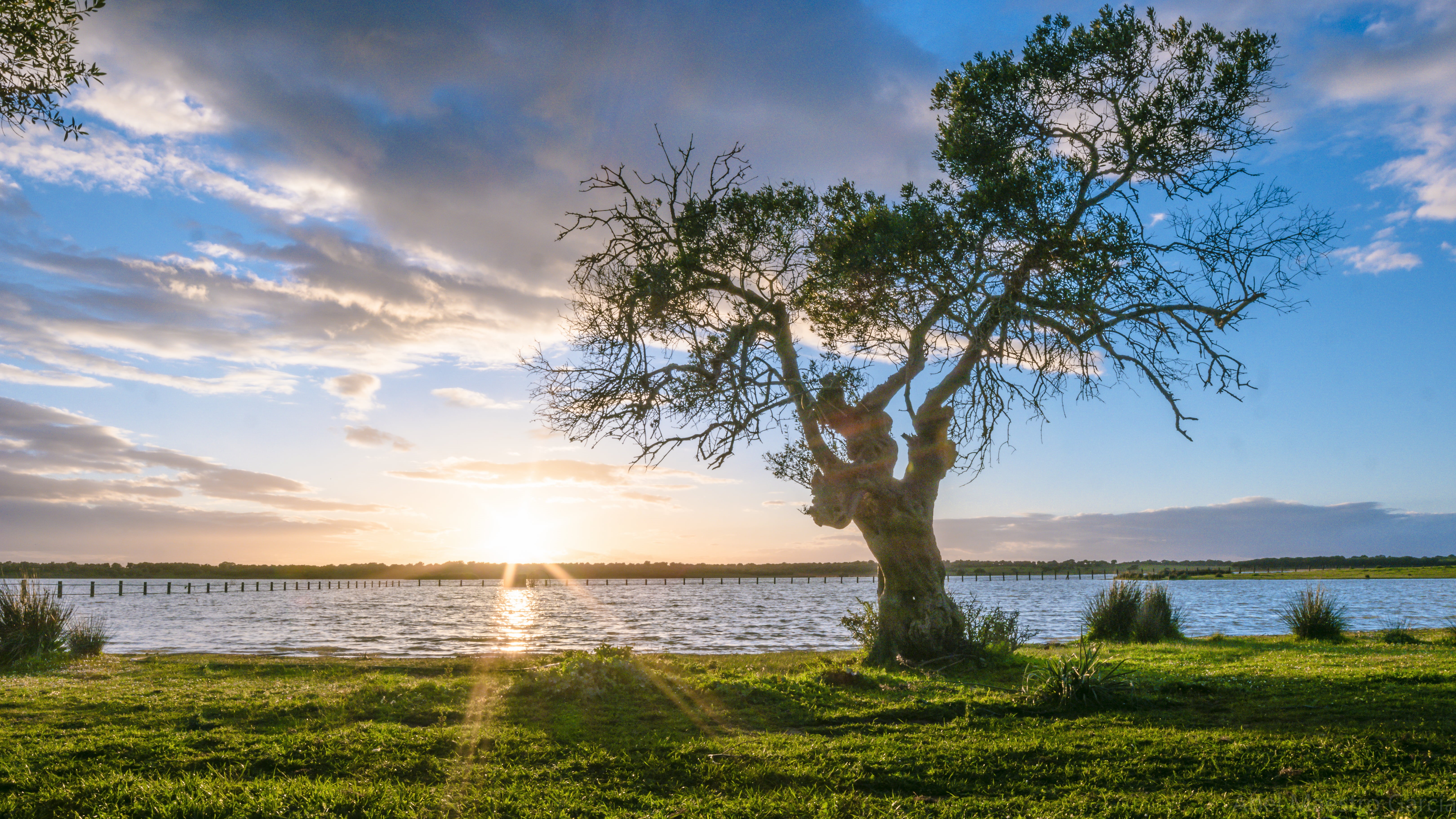 Maestro, agua, lake, outdoors, blue  green, tree, Sevilla, march, body of water, near, Andalucia, nature, Abel, silhouette, verde, La Dehesa, España, lago, HD Wallpaper