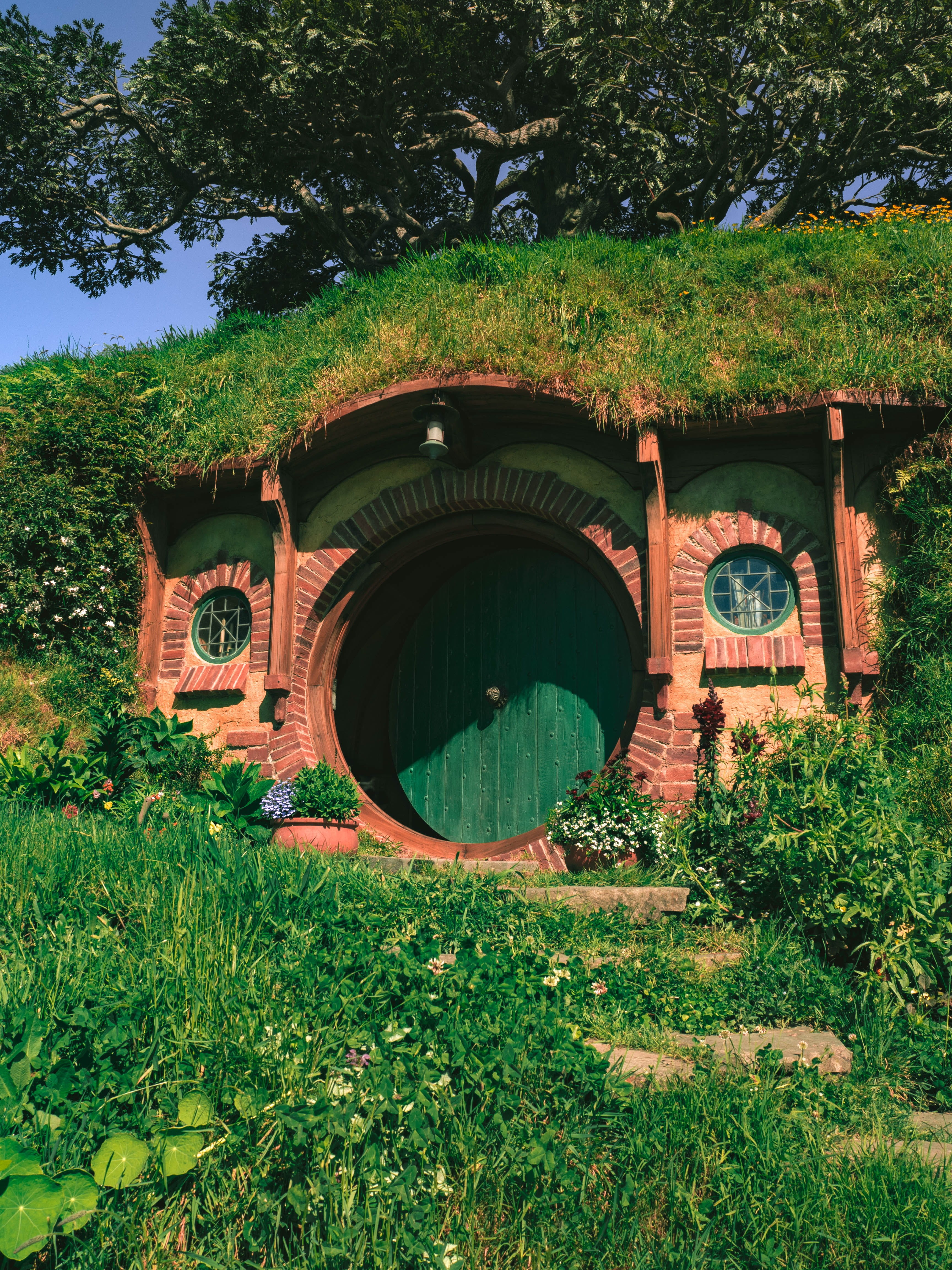 hobbiton, plant, outdoors, built structure, new zealand, jar, old, housing, green color, arbour, land, architecture, tree, growth, grass, porch, 4K, building exterior, Phone HD Wallpaper