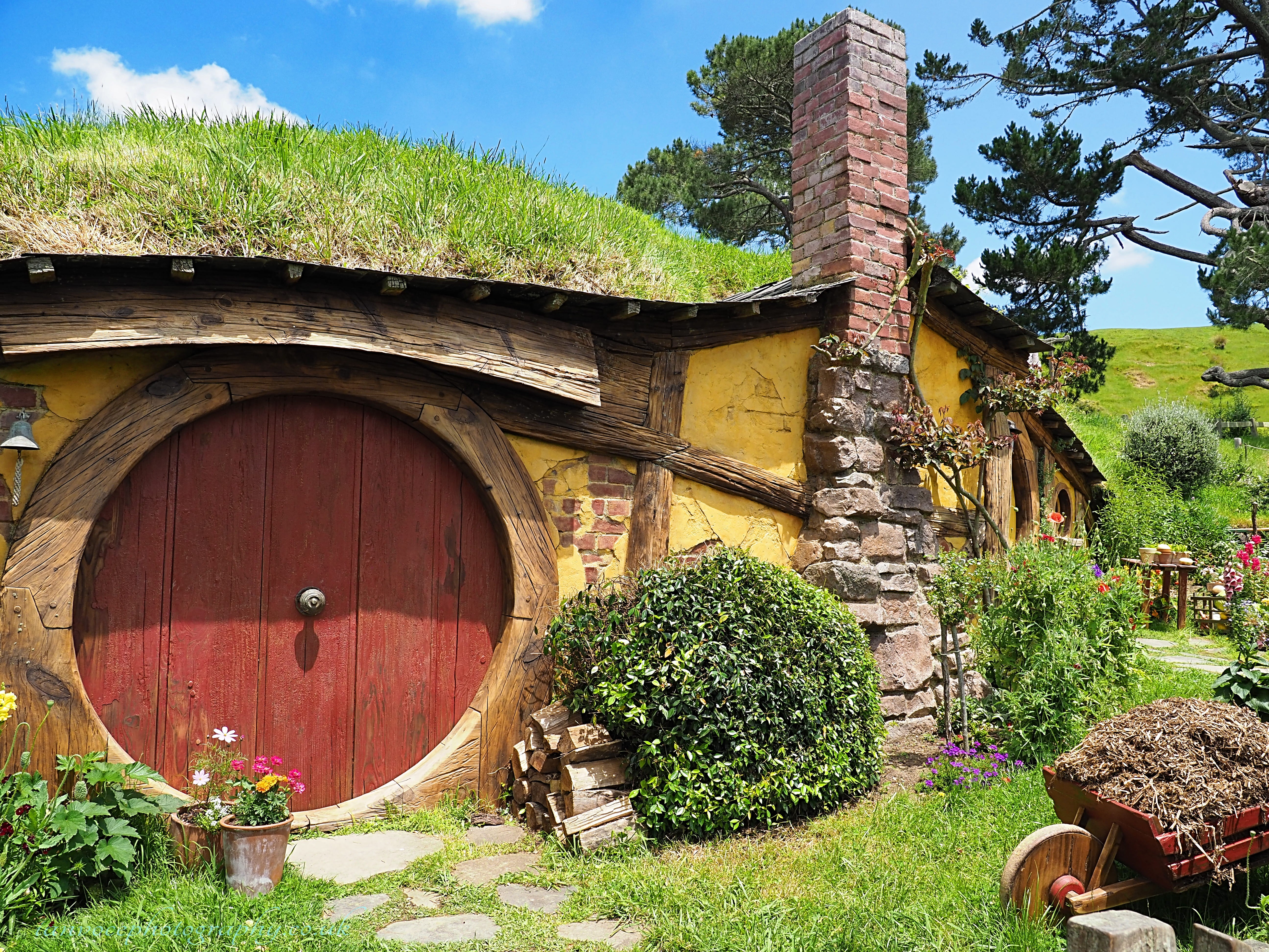 arch, green color, growth, plant, outdoors, building exterior, set, day, hobbit, no people, 5K, sunlight, art and craft, cottage, rustic, architecture, HD Wallpaper