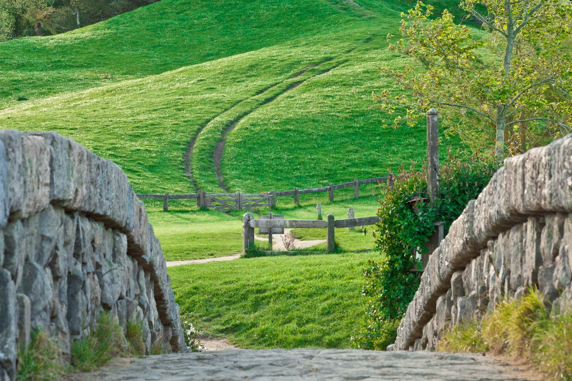 hills, Dirt Road, abstract, Trees, new, Landscape, road, px, art, 2000x1333 px, fantasy, t, New Zealand, zealand, stones, Hobbiton, x, dirt, Field, fence, HD Wallpaper