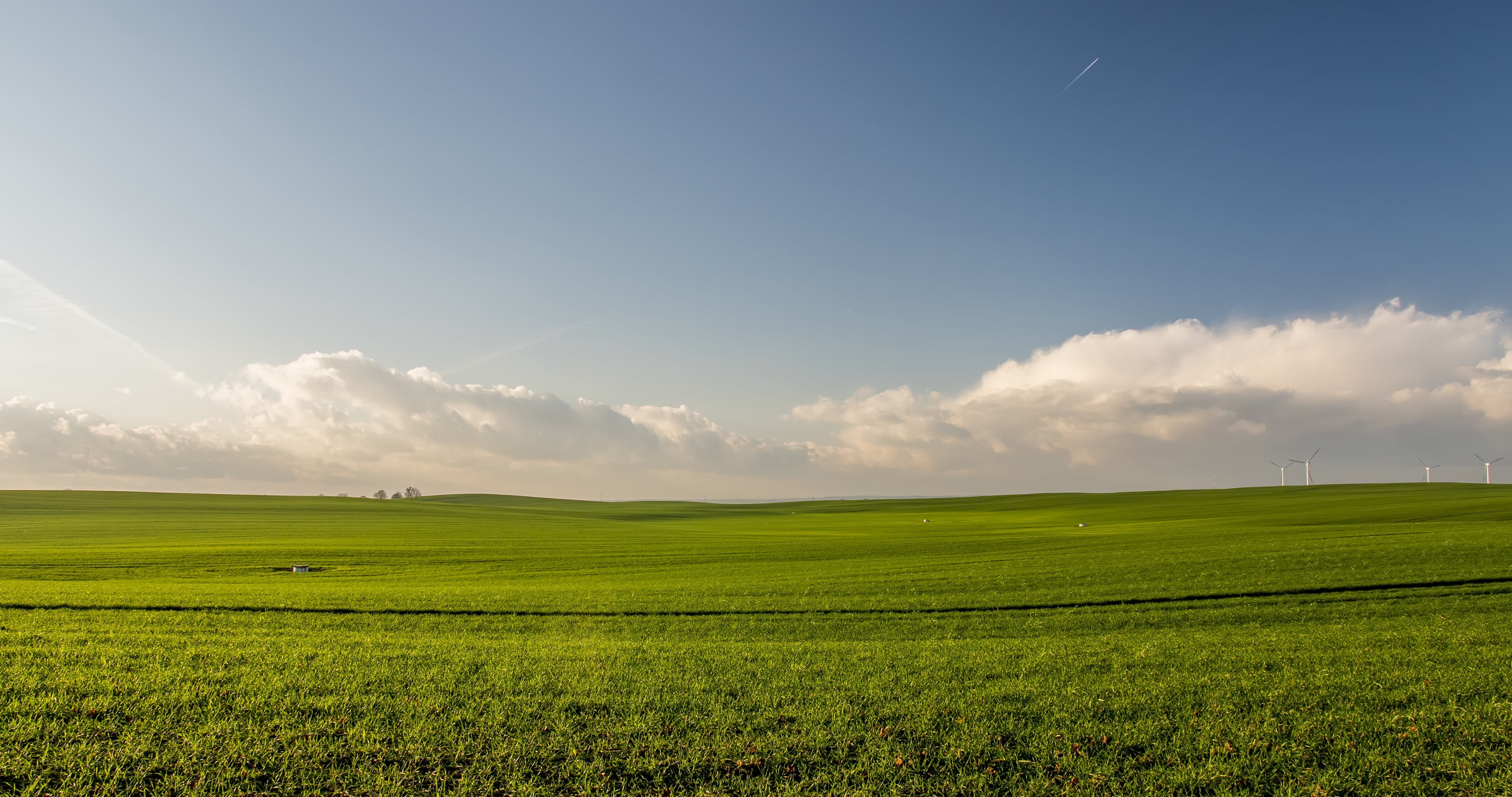 tranquility, no people, 4K, plant, crops, field, day, landscape, land, summer, green, scenics - nature, green Color, agriculture, beauty in nature, rolling landscape, HD Wallpaper