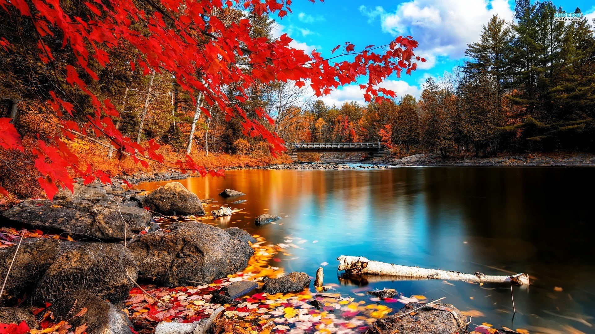 1080P, lake, beauty in nature, autumn, no people, scenics - nature, change, autumn collection, outdoors, day, nature, plant, river, tranquil scene, tranquility, HD Wallpaper