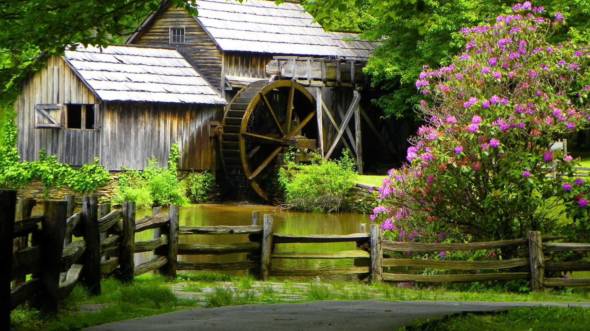 garden, park, outdoor, grass, wheel, tract, sky, house, life, plot, greenhouse, 1080P, summer, flowers, area, tree, patio, travel, structure, yard, landscape, HD Wallpaper