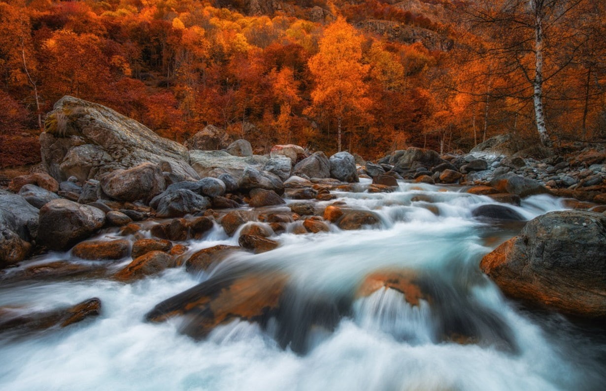 woodland, change, long exposure, photography, rapids, rock - object, water, plant, outdoors, fall, blurred motion, tree, nature, flowing water, red, motion, HD Wallpaper