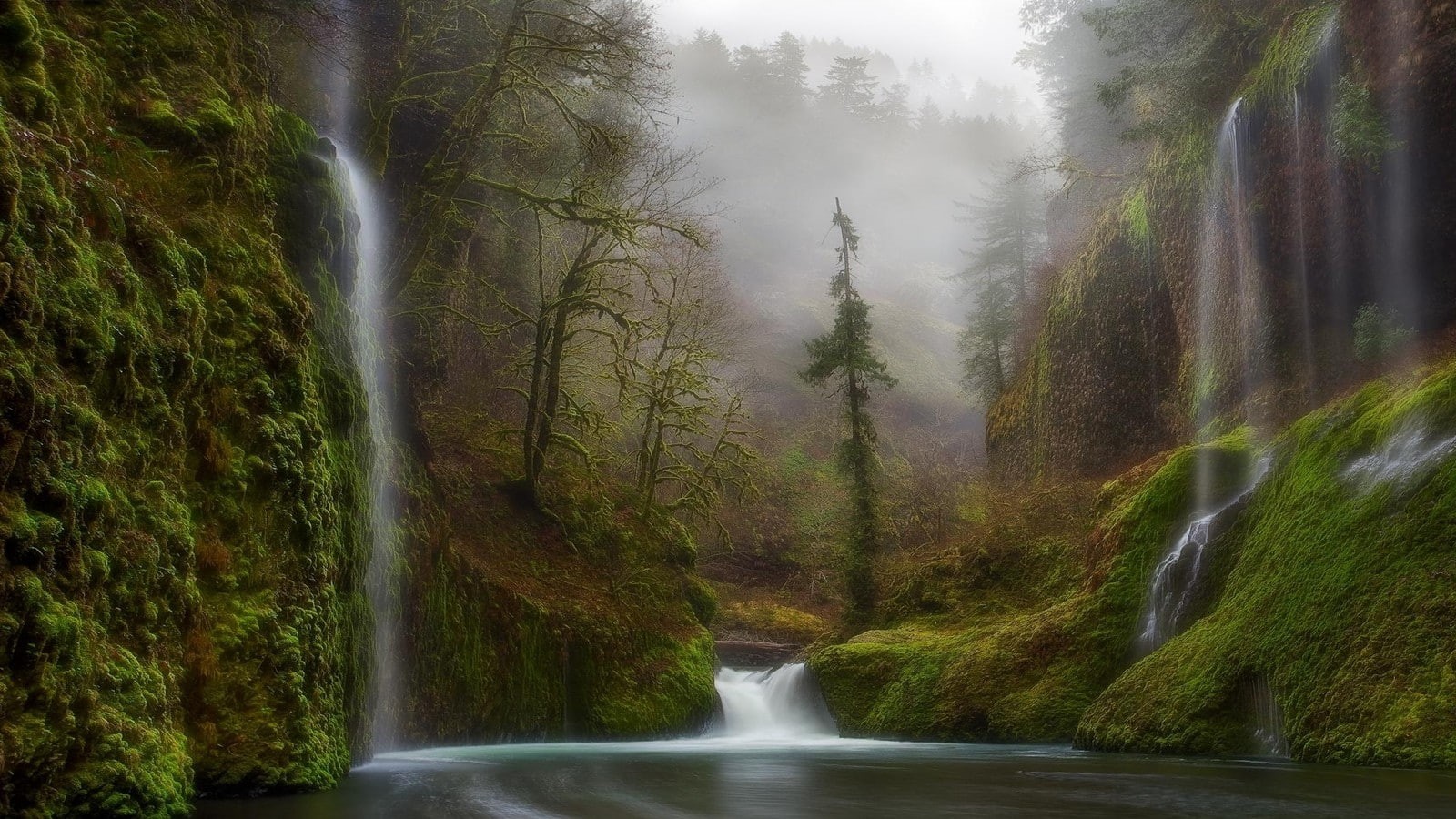trees, nature, river, waterfall, forest, 720P, hd, HD Wallpaper