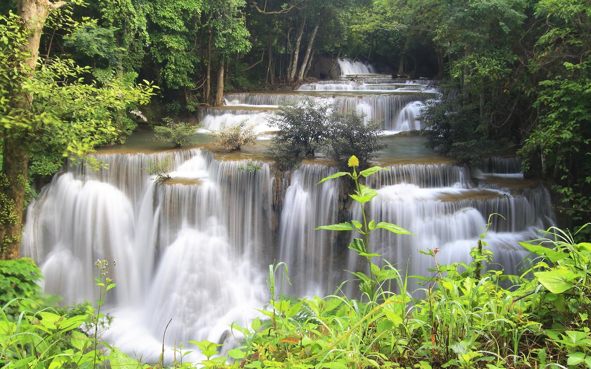 Stream, Thailand, Waterfalls, River, green, 1080P, Trees, Jungle, Forest, grass, HD Wallpaper