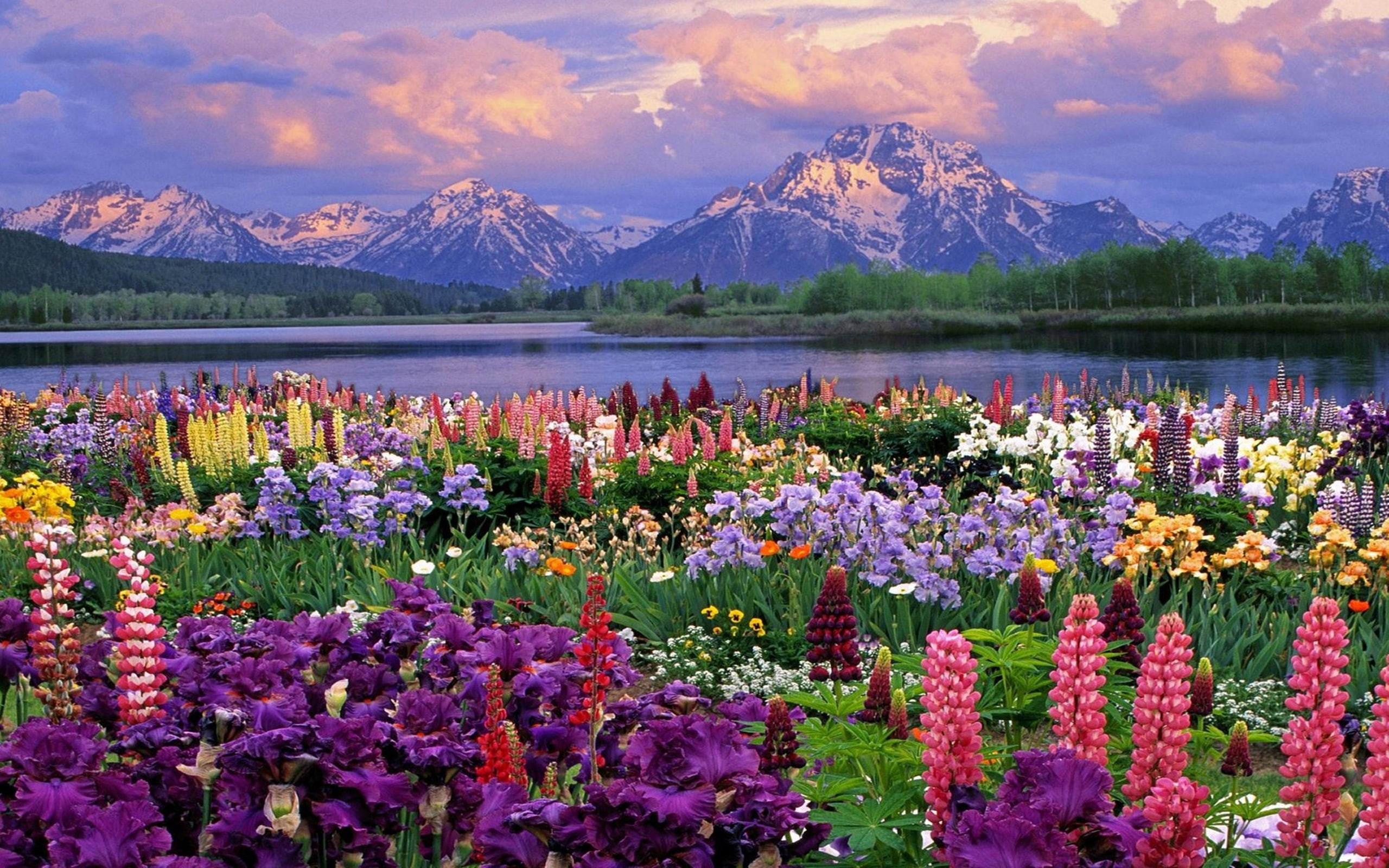  2K, spring, beautiful, HD Wallpaper