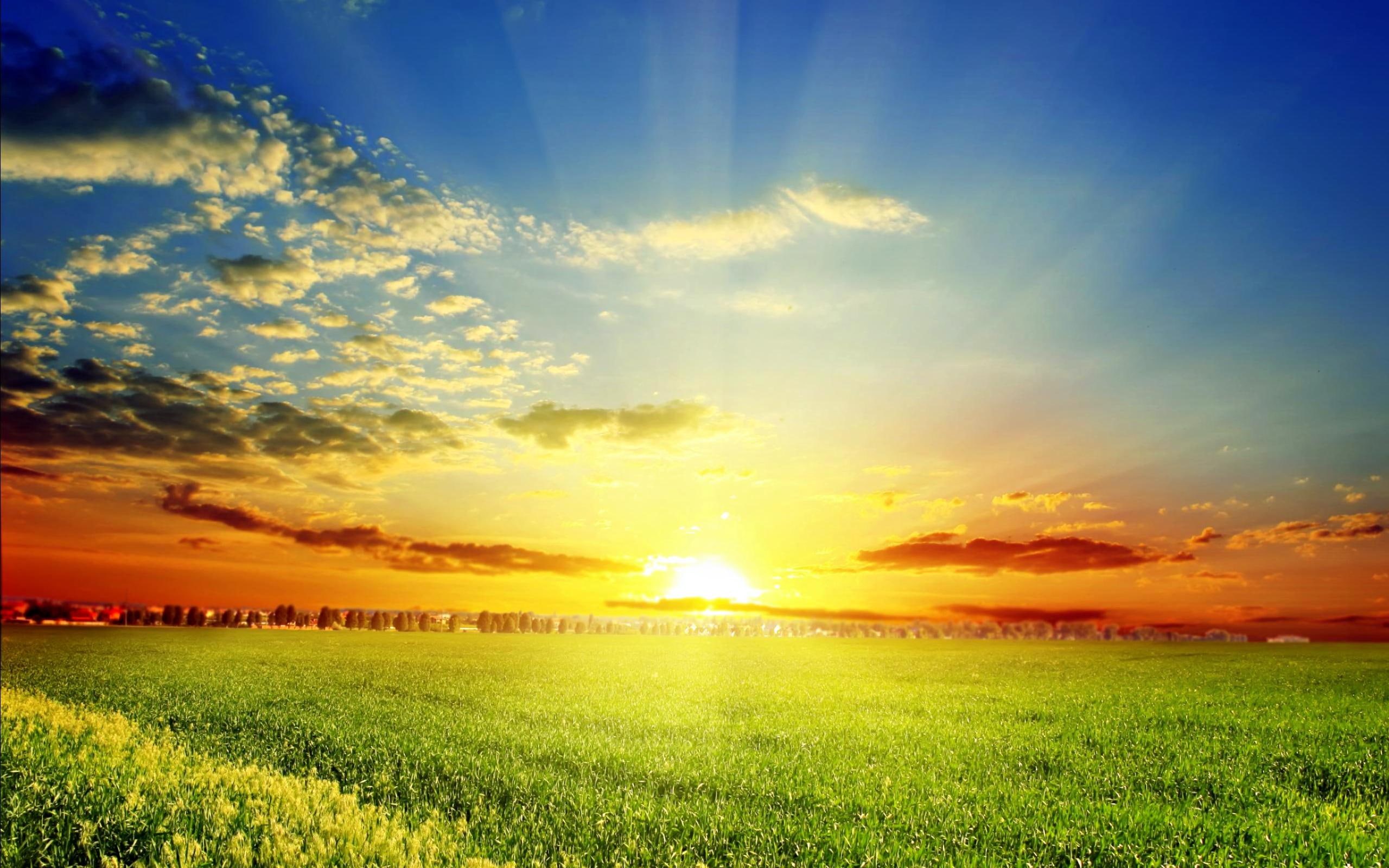 peaceful, grass, view, sun, colorful, beautiful, sunset, rays, lovely, trees, splen, amazing, 2K, spring time, spring, HD Wallpaper