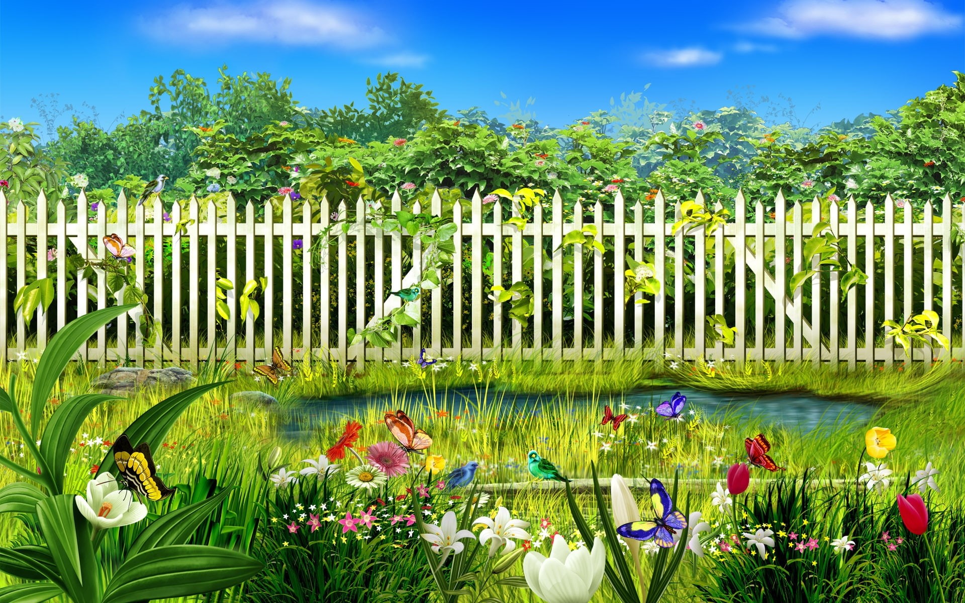 garden, 1080P, flowers, nature, plants, colors, spring, background, HD Wallpaper