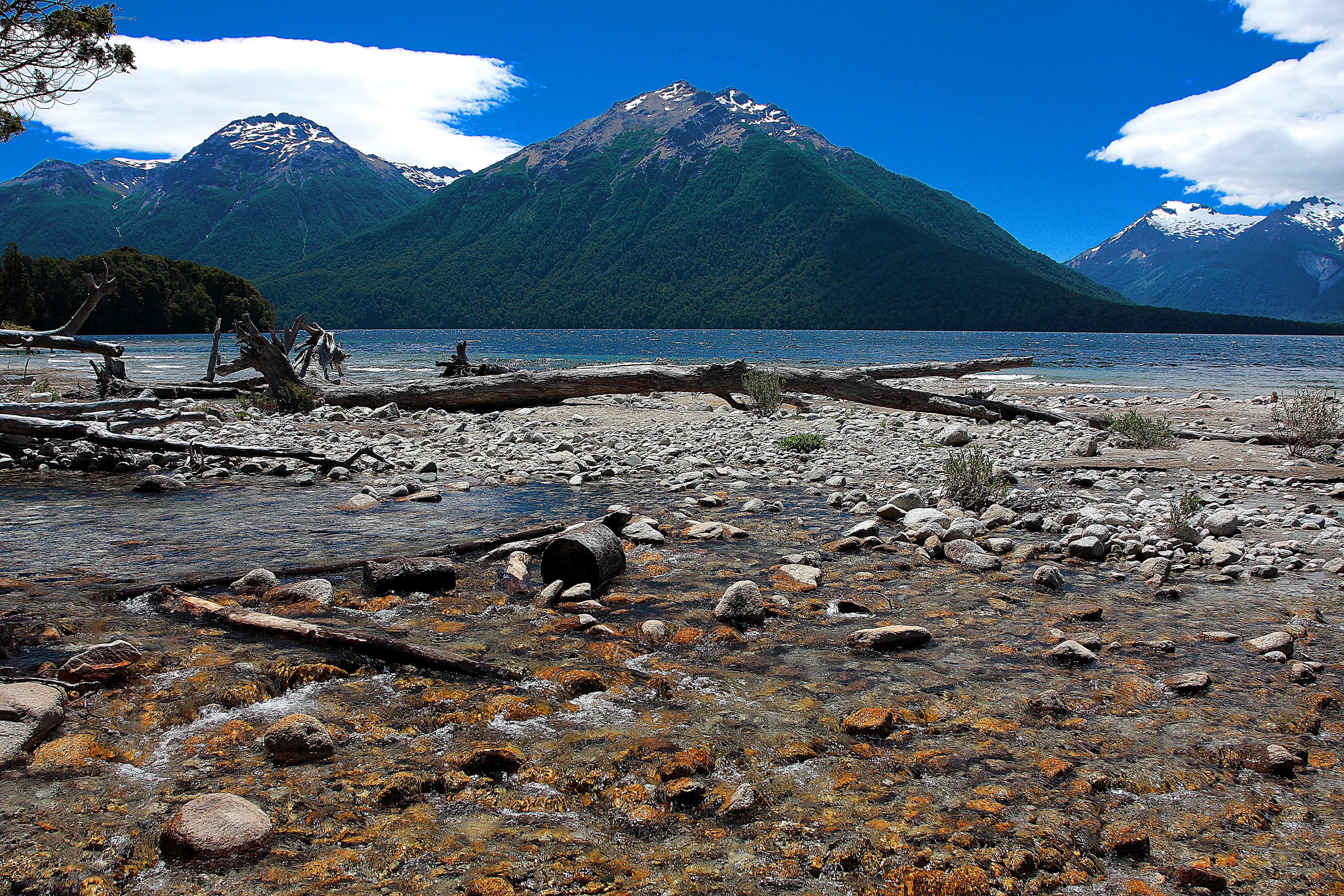 animal, vertebrate, black river, 4K, argentina, scenics - nature, beauty in nature, land, mountain peak, patagonia, water, lake, photo, sea, no people, HD Wallpaper