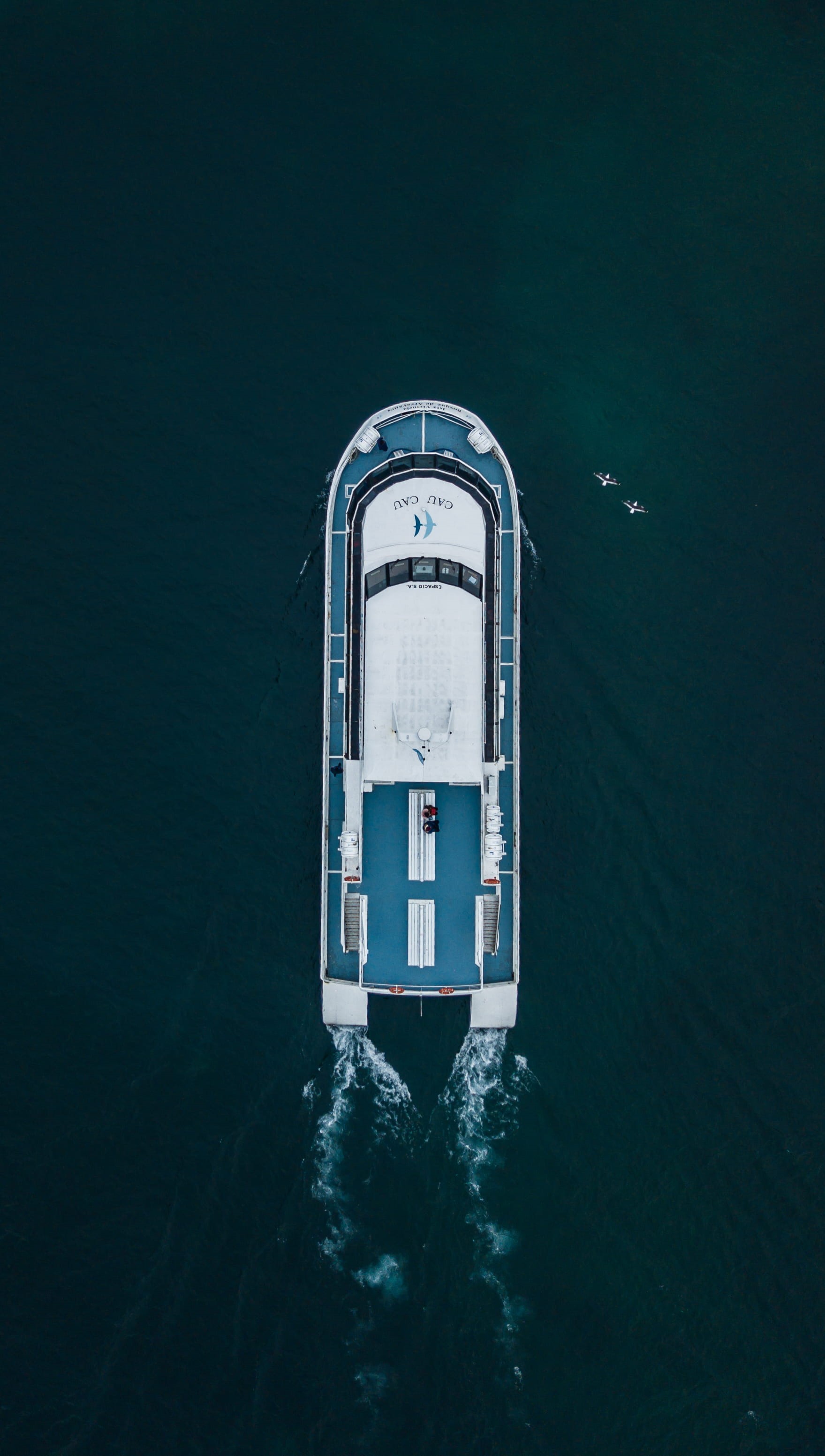transport, cau cau, motion, photo, isla victorium, birds eye view, aerial view, seagull, travel, transportation, single object, yacht, view, 2K, sailing, Phone HD Wallpaper