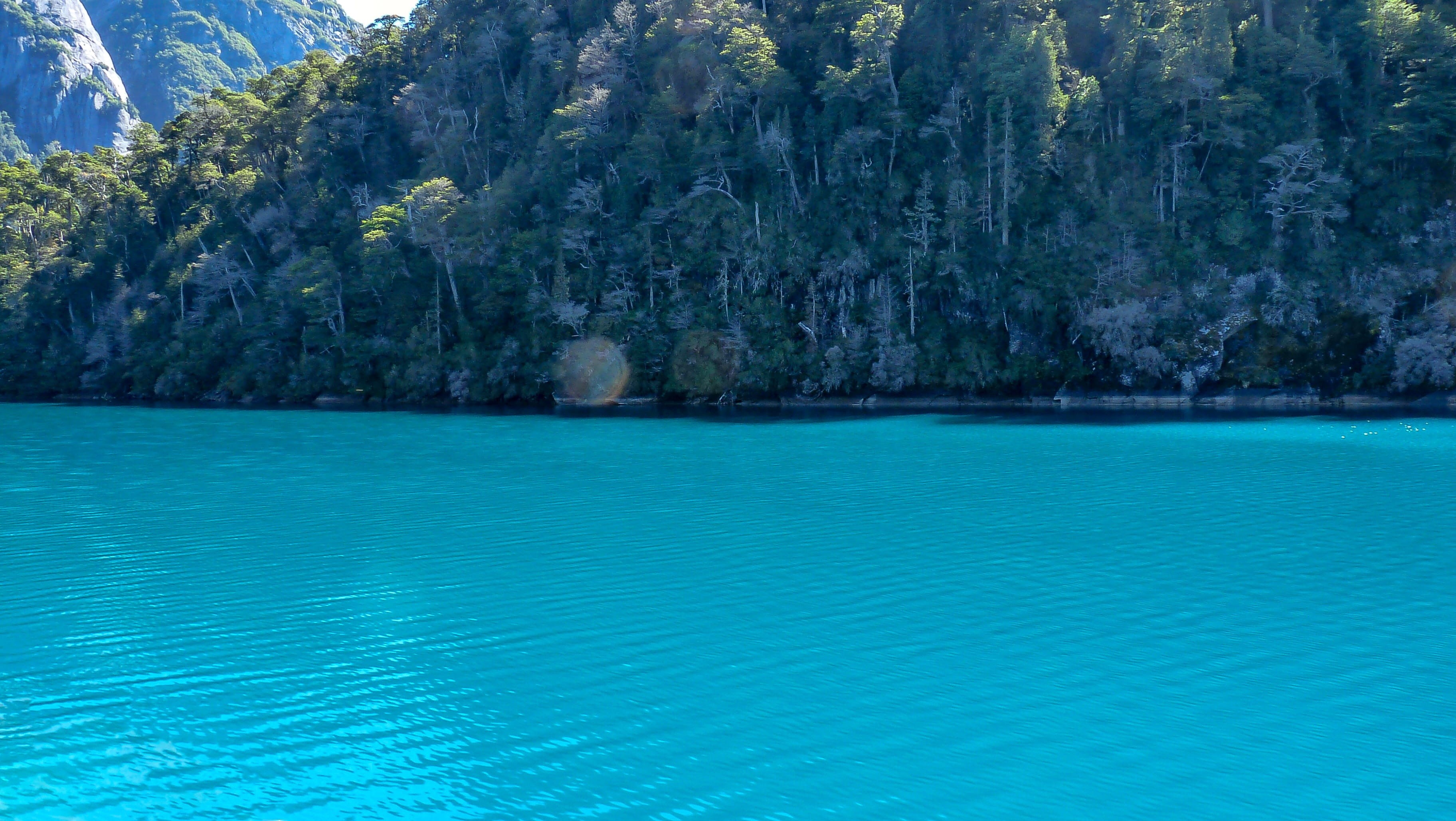 america, patagonia, swimming pool, beauty in nature, rock, tranquility, scenics - nature, tree, plant, mountain, lake, scenic, tranquil scene, no people, HD Wallpaper